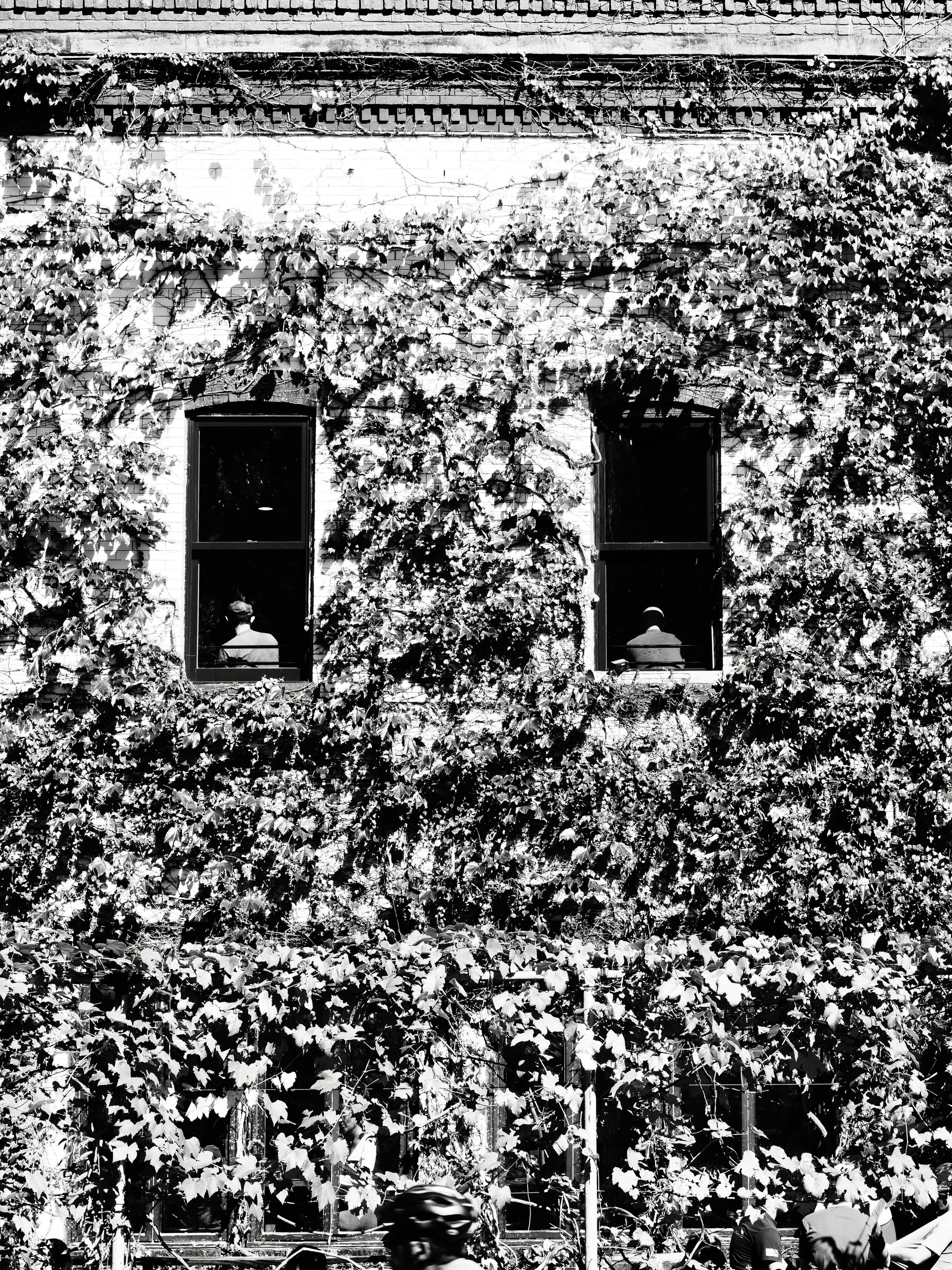 Photo by sschusterphotoart