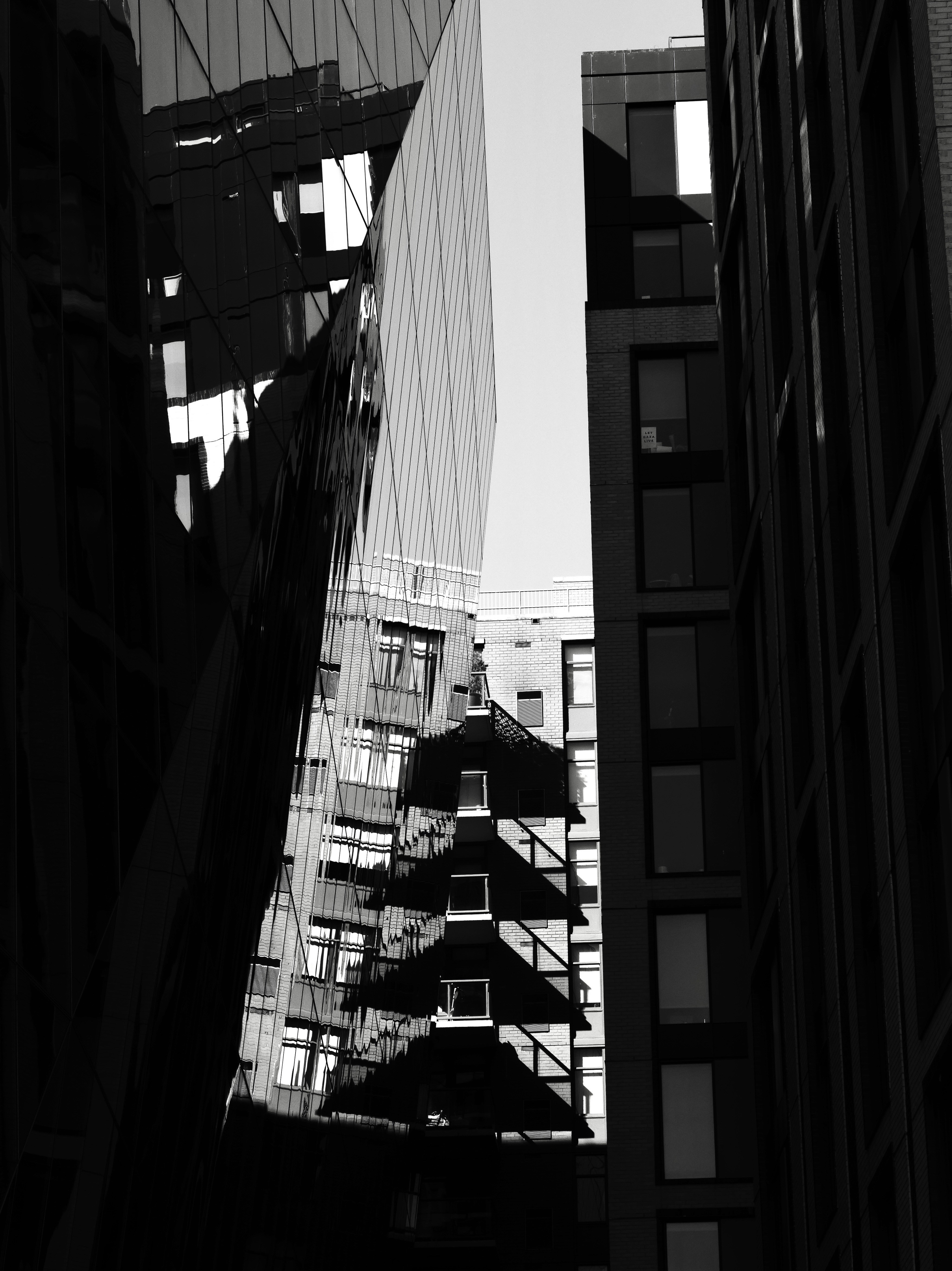 Photo by sschusterphotoart