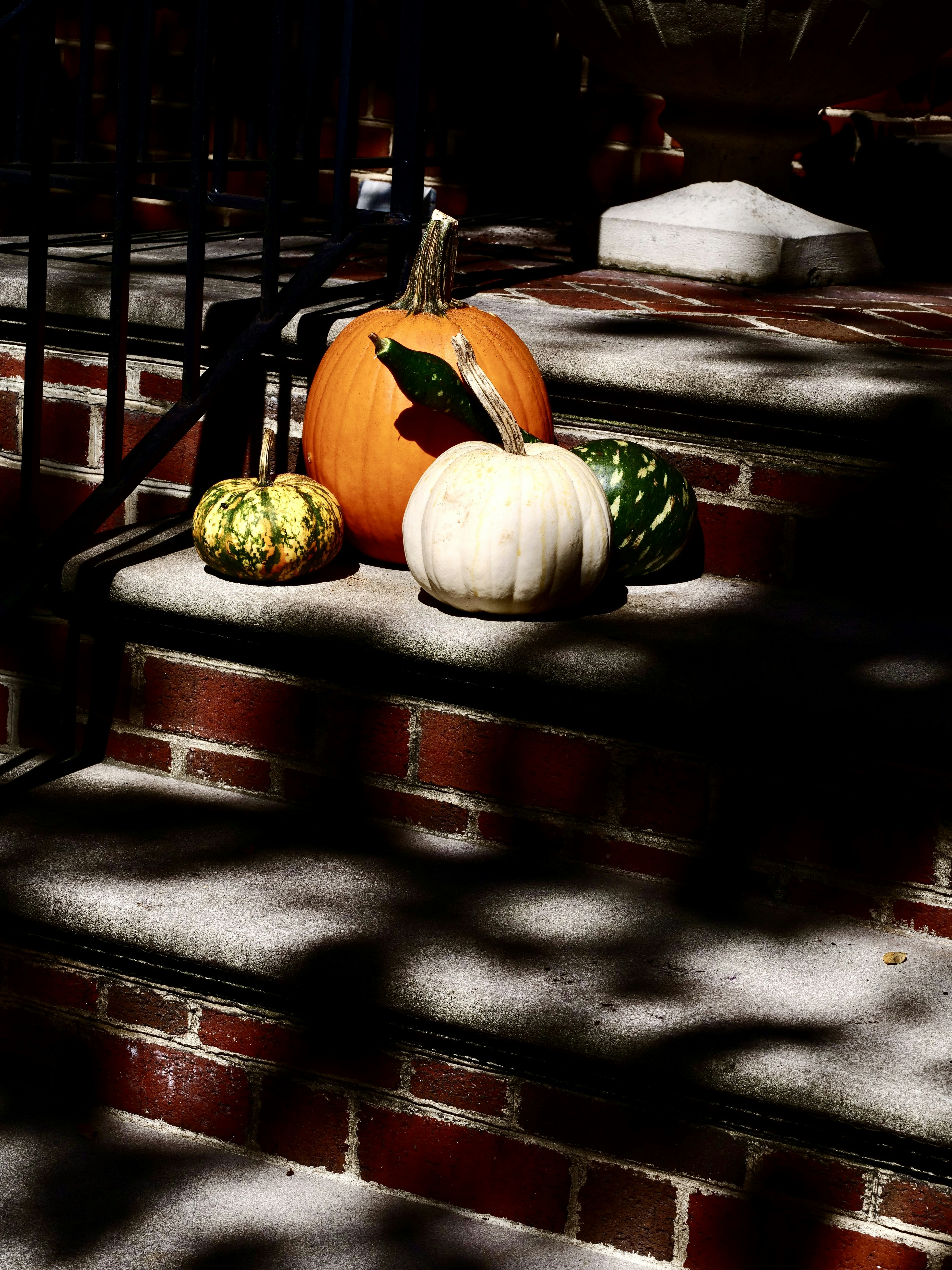 Four pumpkins and gourds on brick steps.