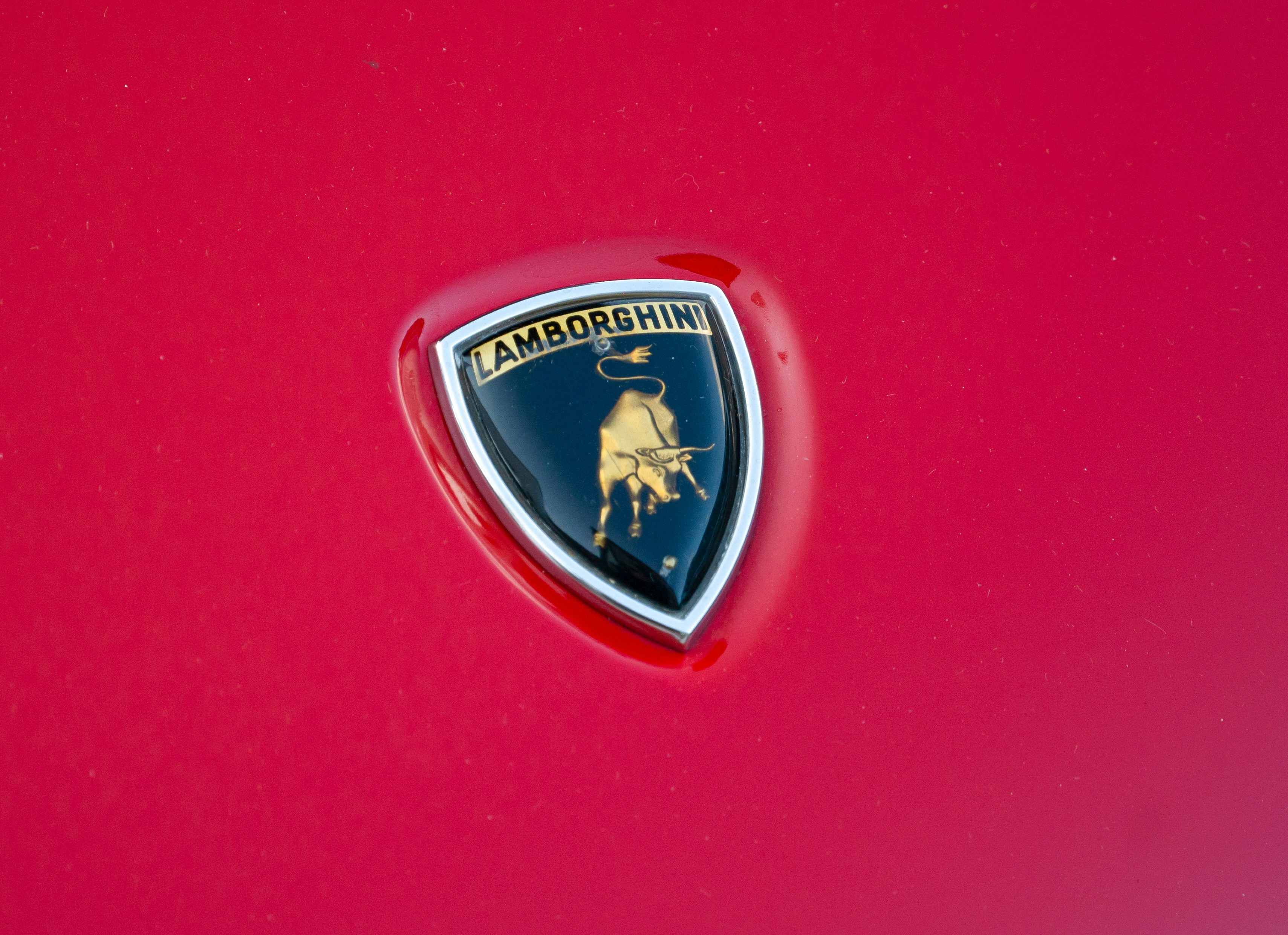 Logo Lamborghini sur la voiture rouge