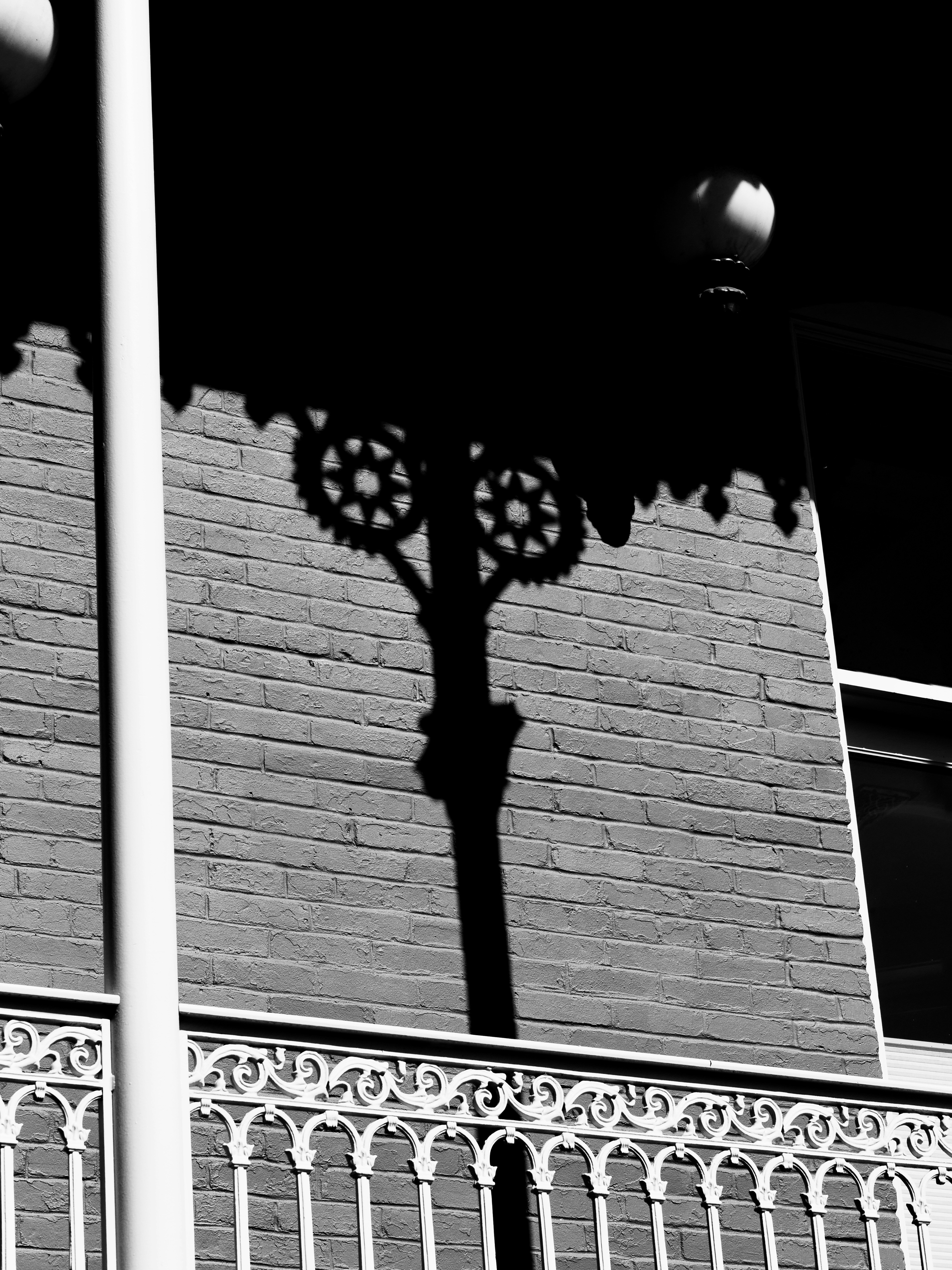 Photo by sschusterphotoart