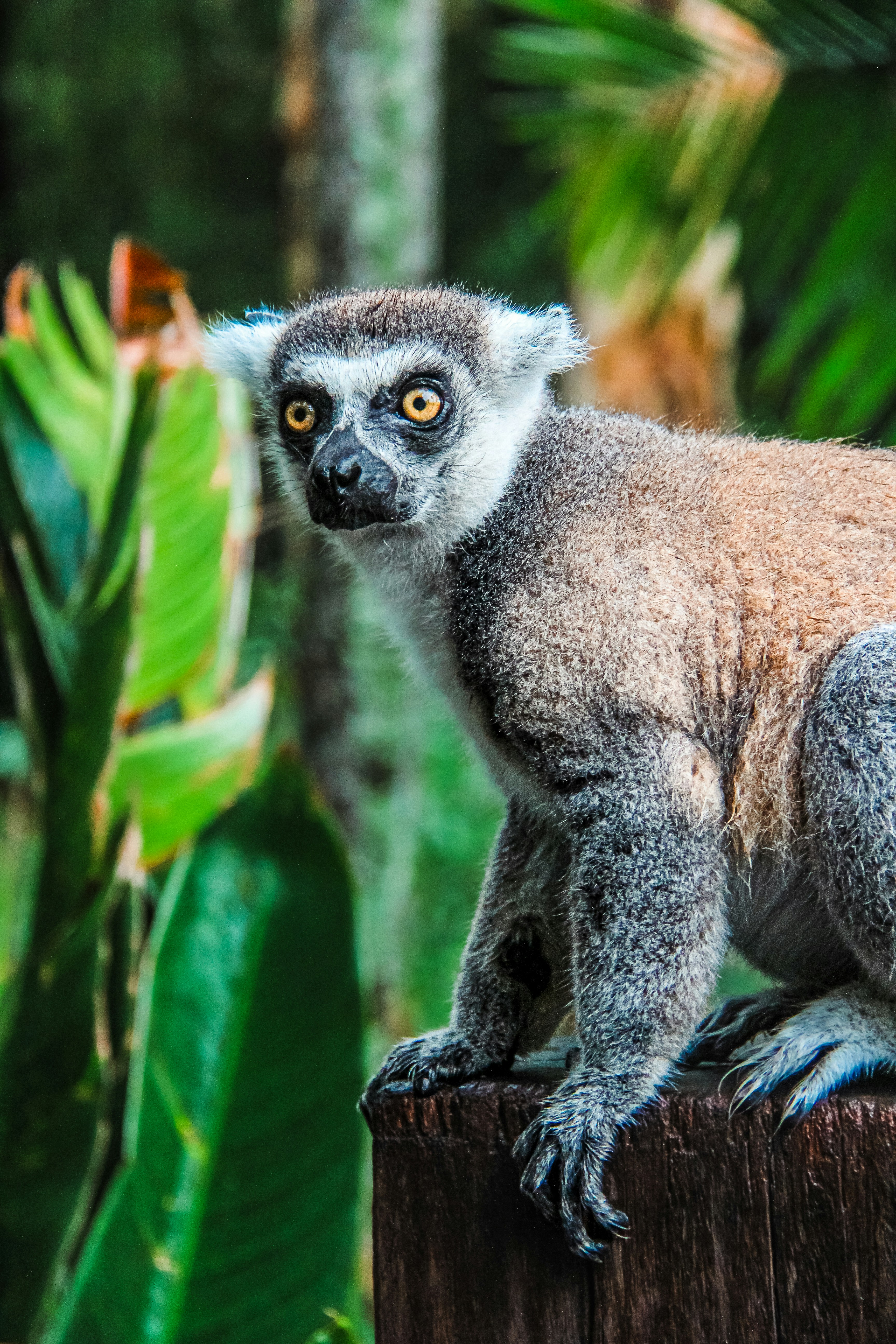 Photo by flicksbygurdaas