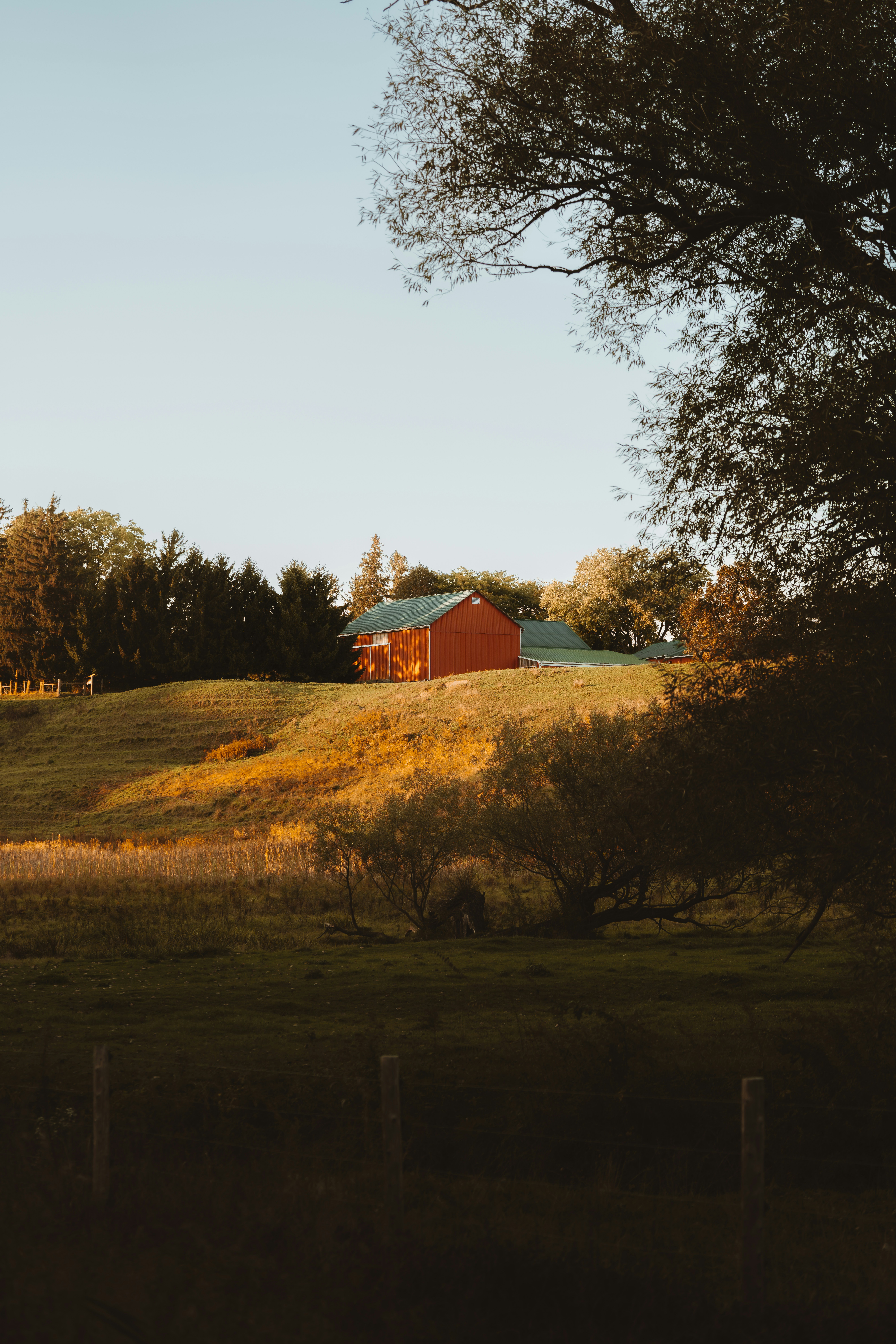 Photo by damiankravchuk