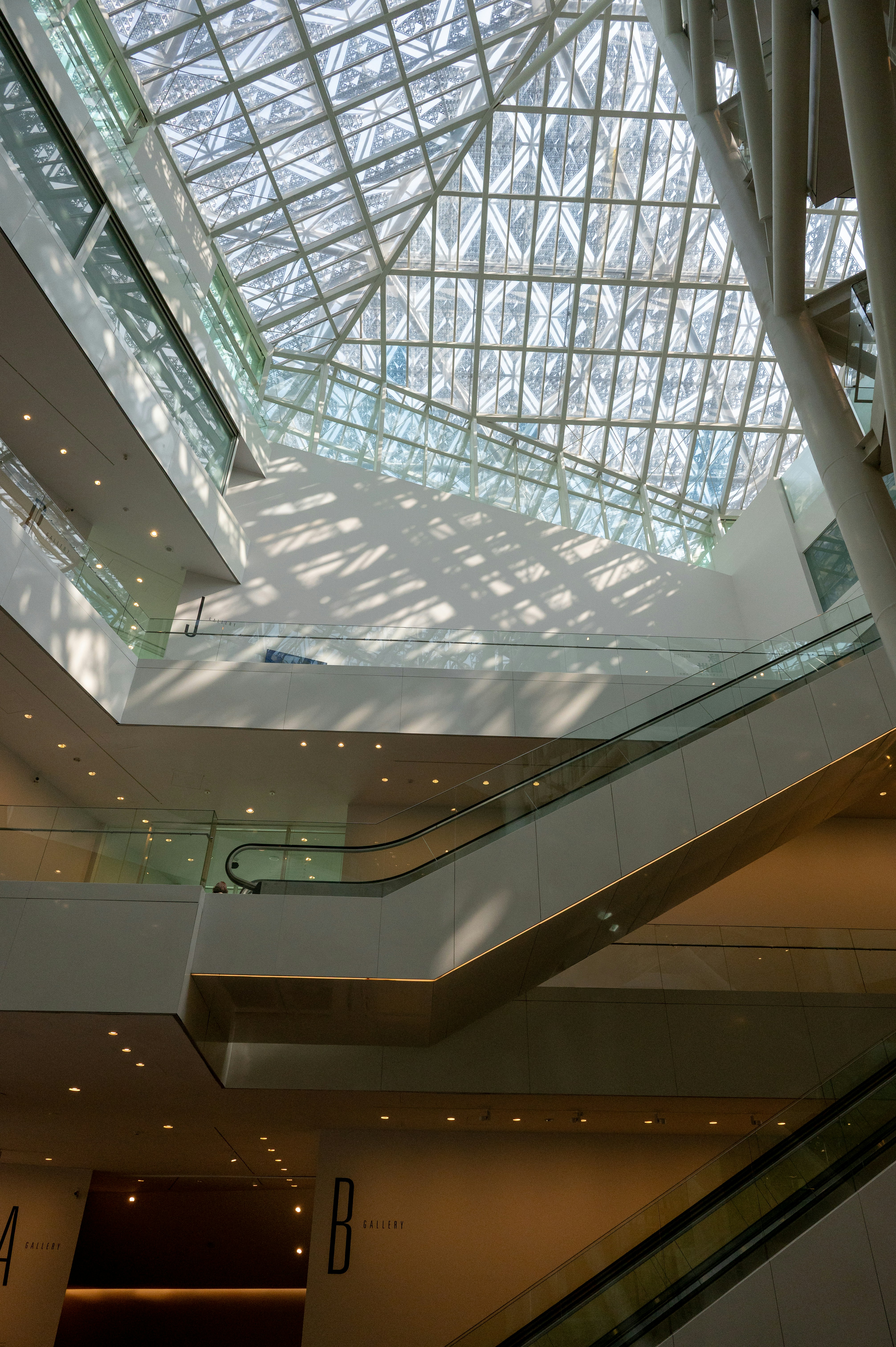 Photo by turquocabbit