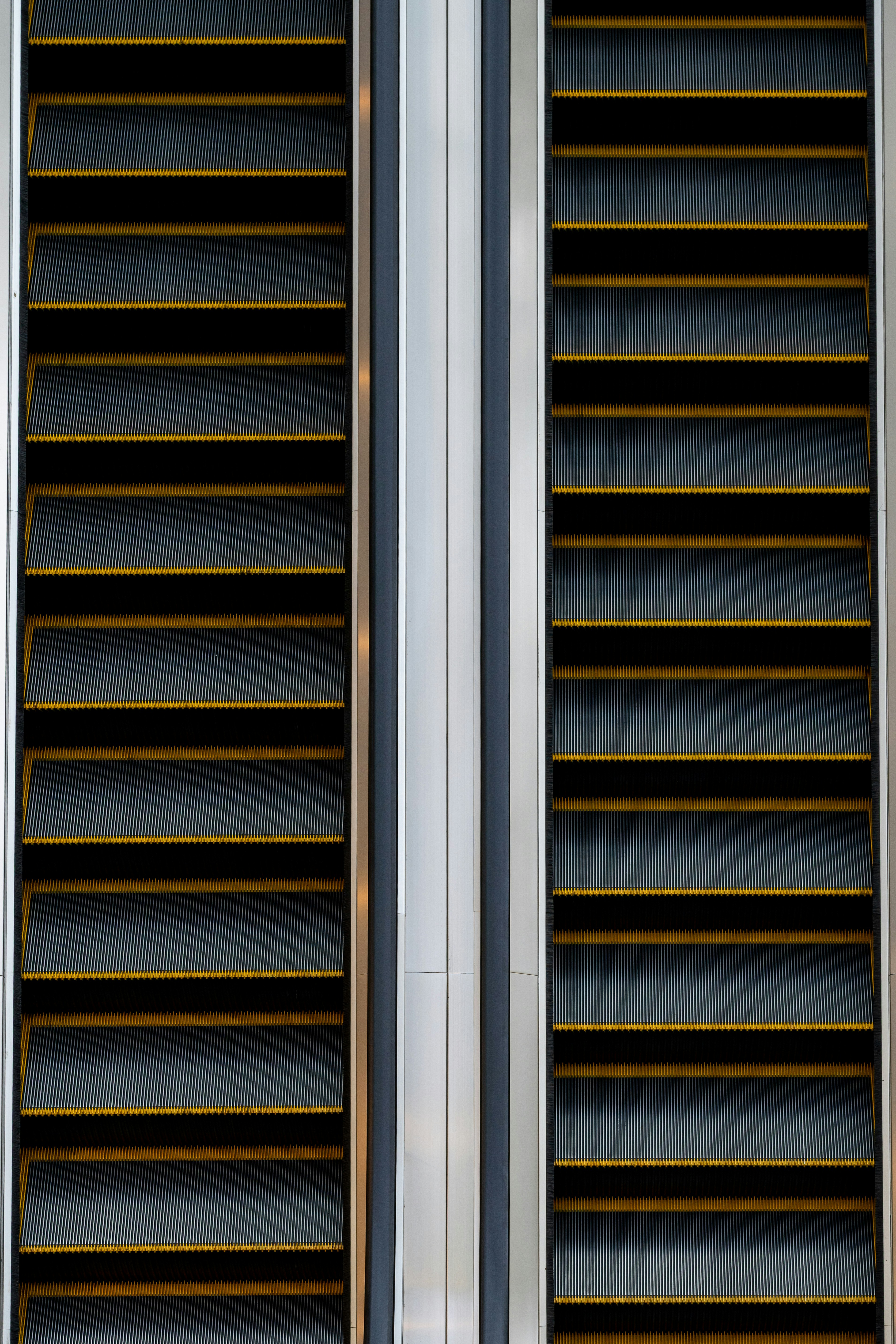 Photo by turquocabbit