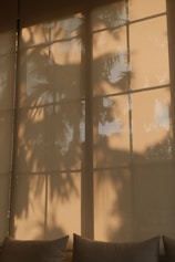 Palm tree shadows cast on a window blind.