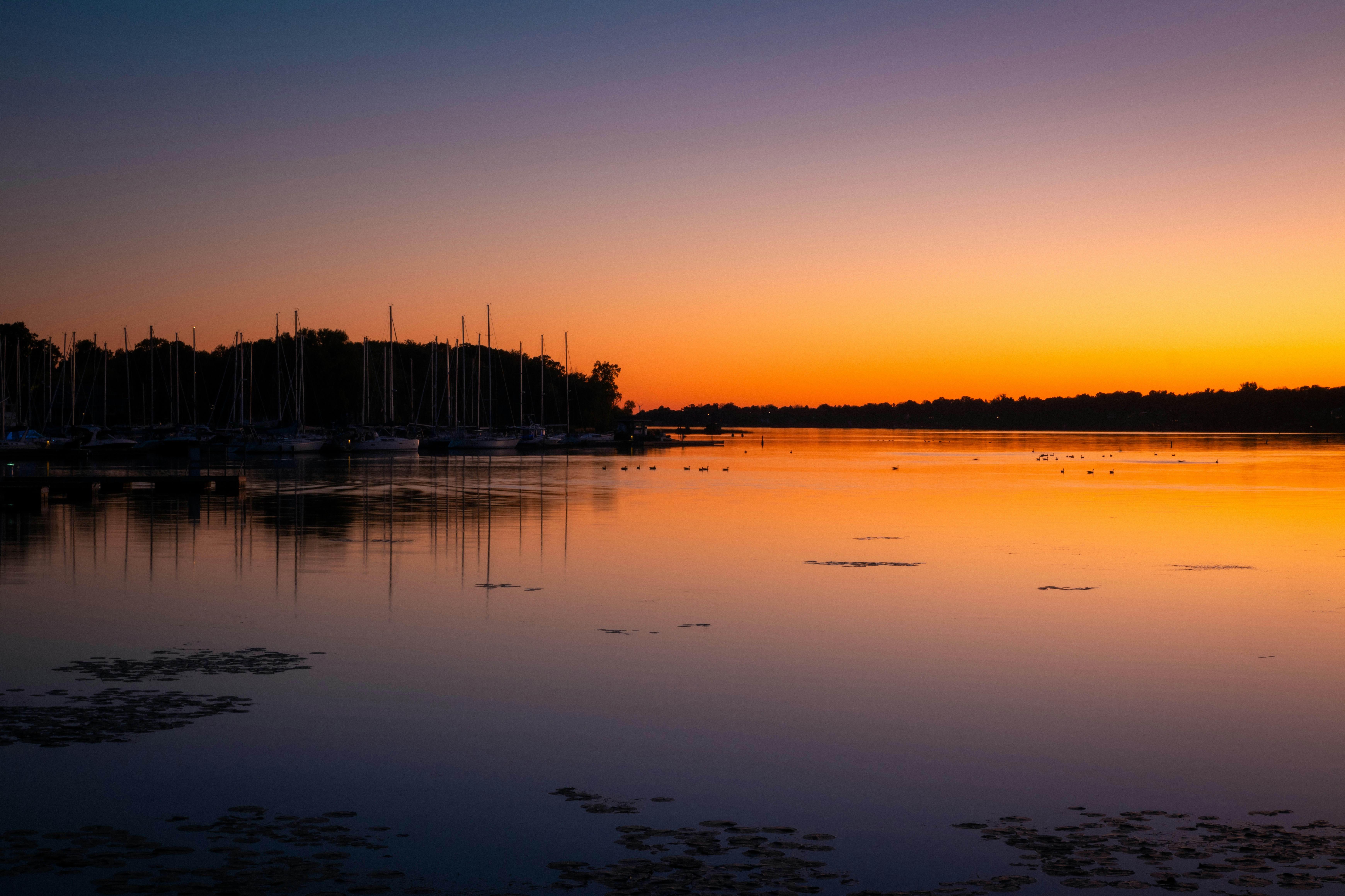 Photo by hashcode_error