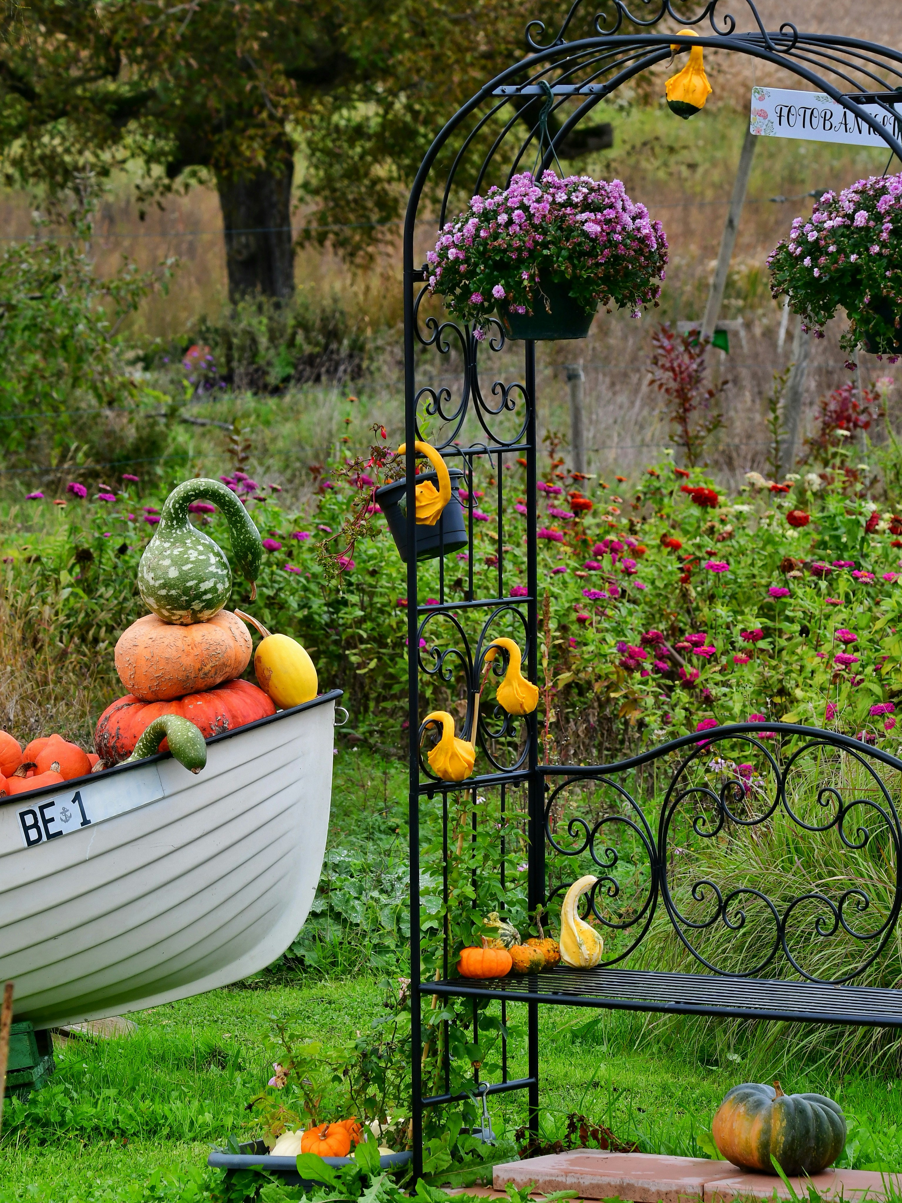 Boat filled with gourds and pumpkins in a garden.