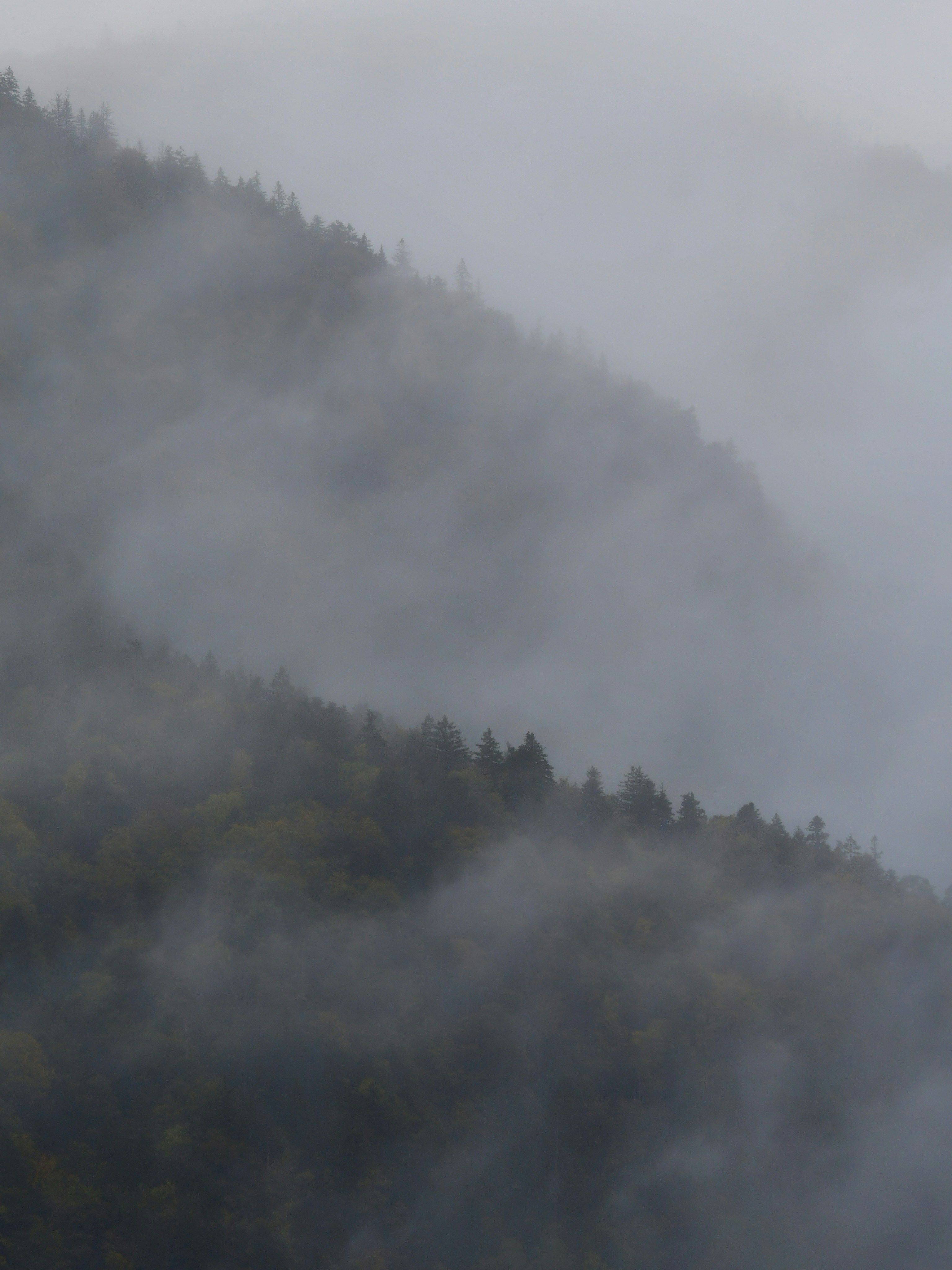 Photo by pedrino5_official