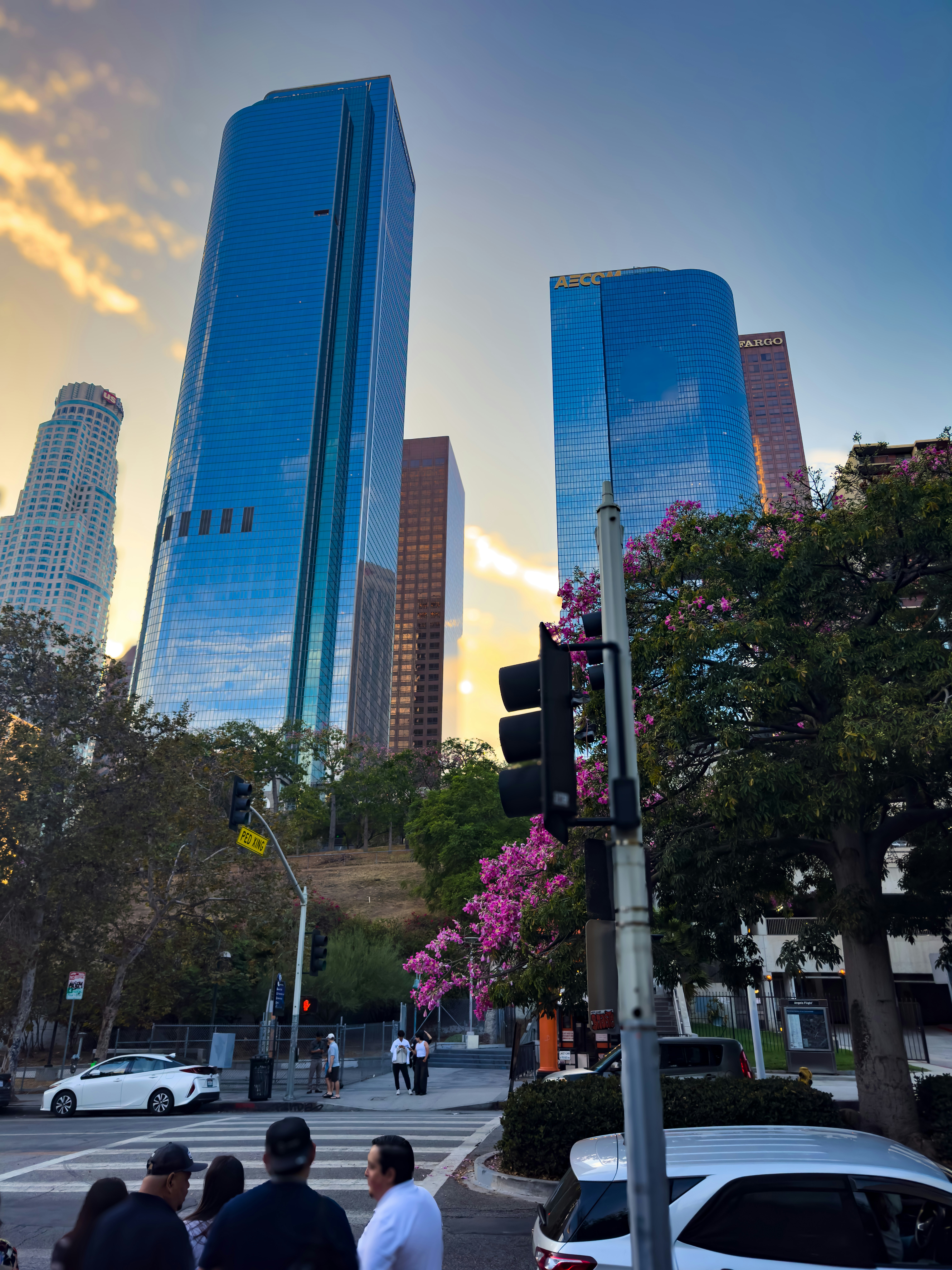 Modern skyscrapers against a sunset sky.
