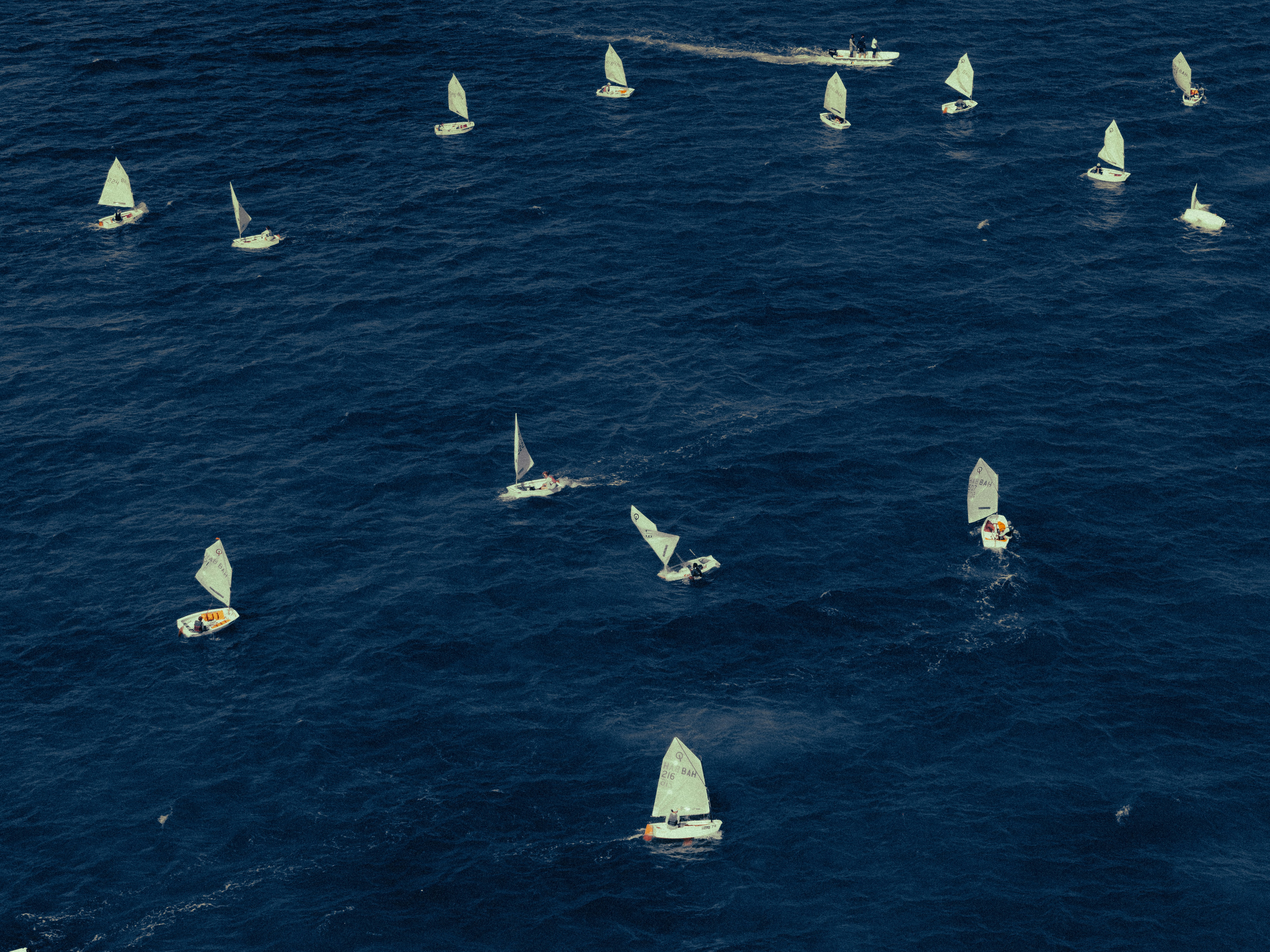 Sailboats racing on a deep blue ocean
