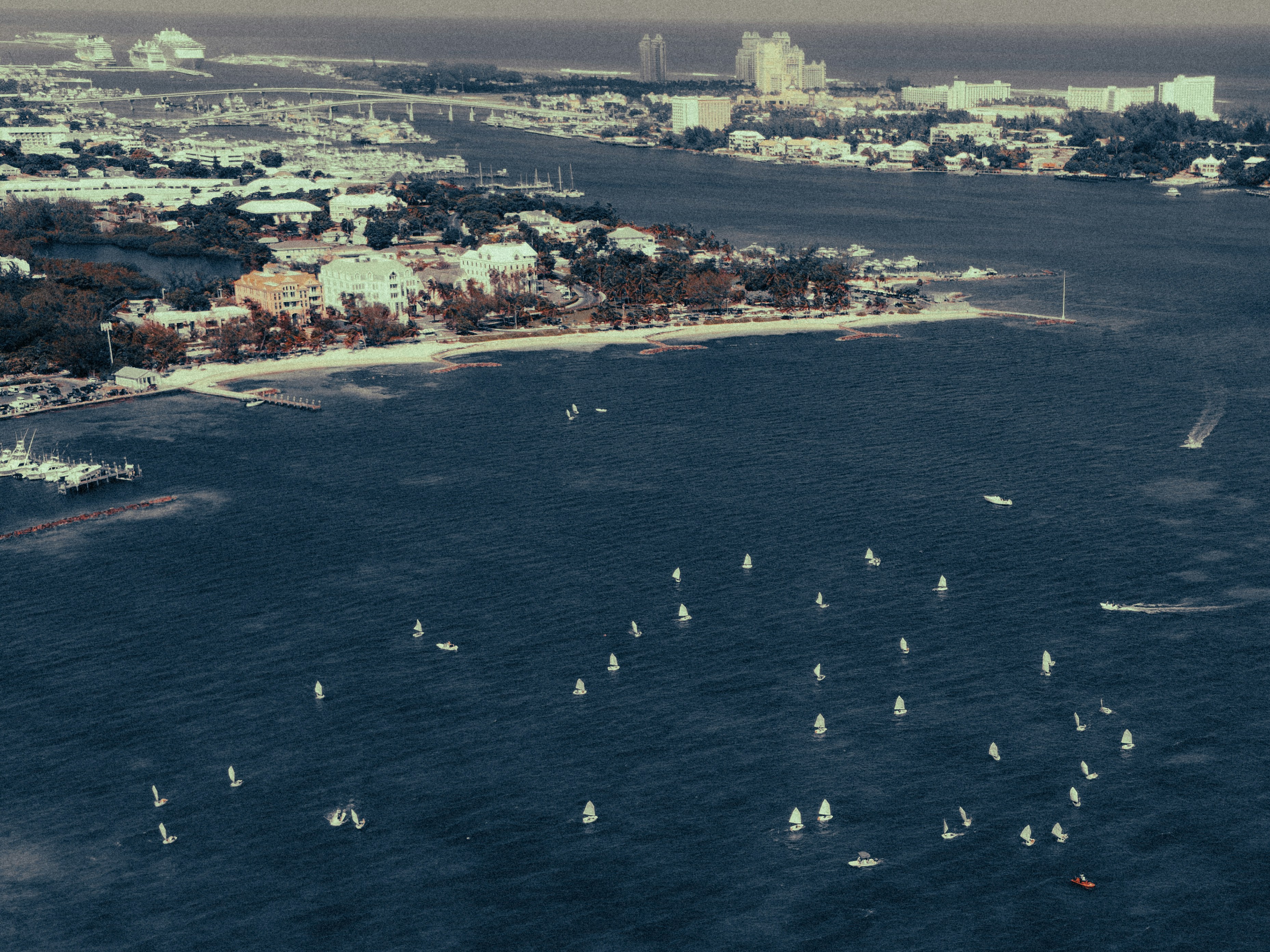 Many sailboats race on the ocean near a city.