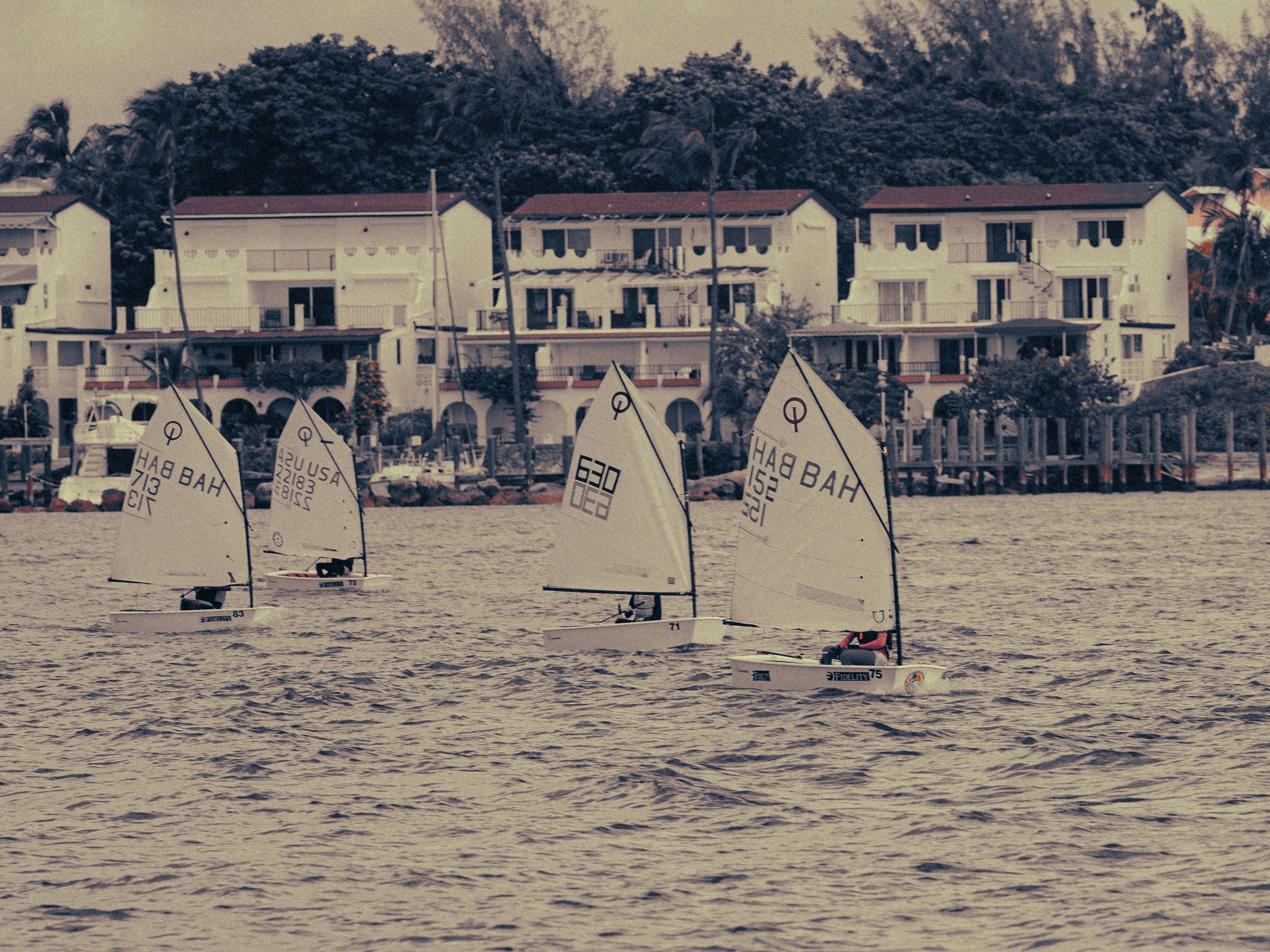 Sailboats race on the water near buildings.