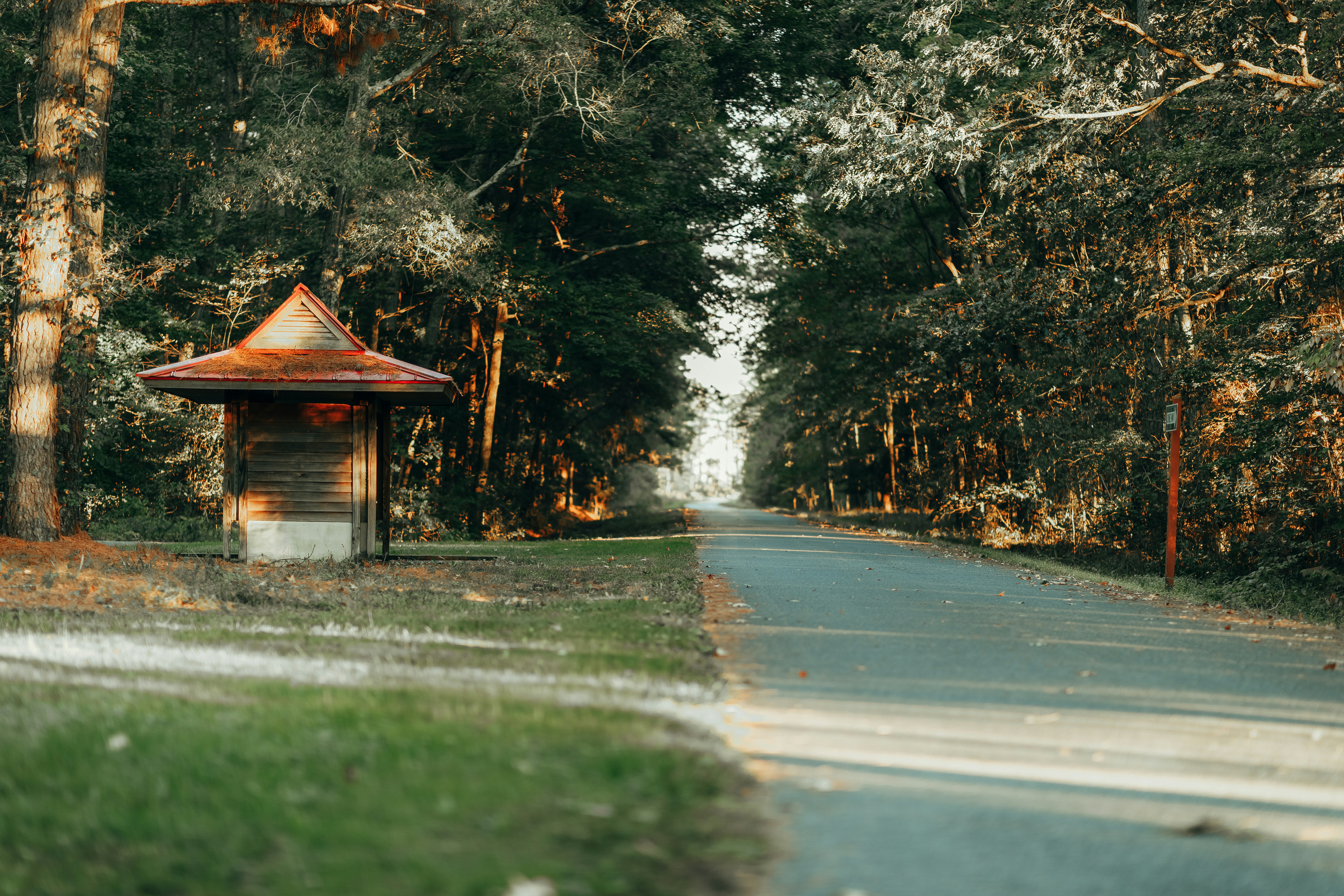 Roadside Park