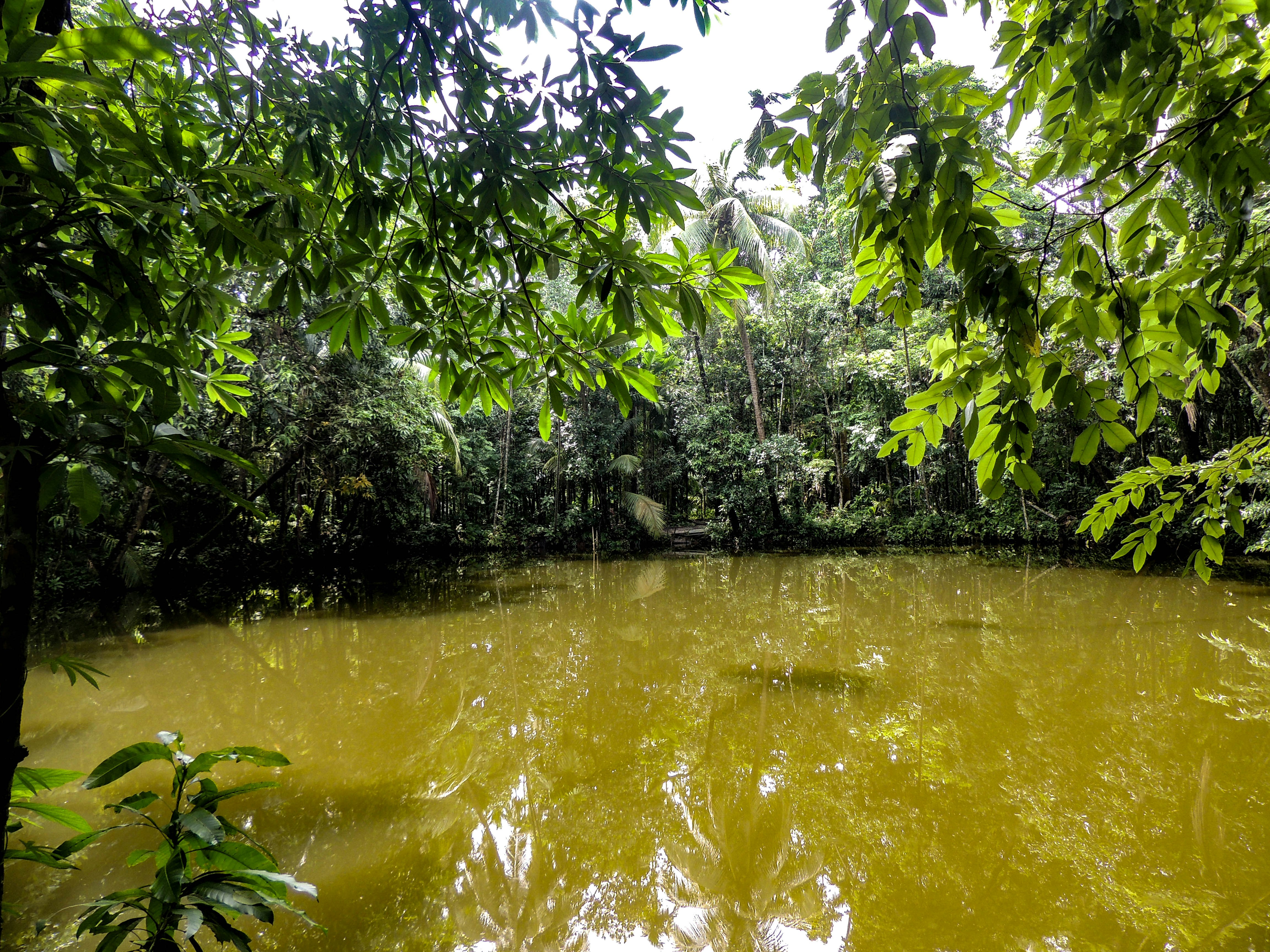 Photo by qurratulayin