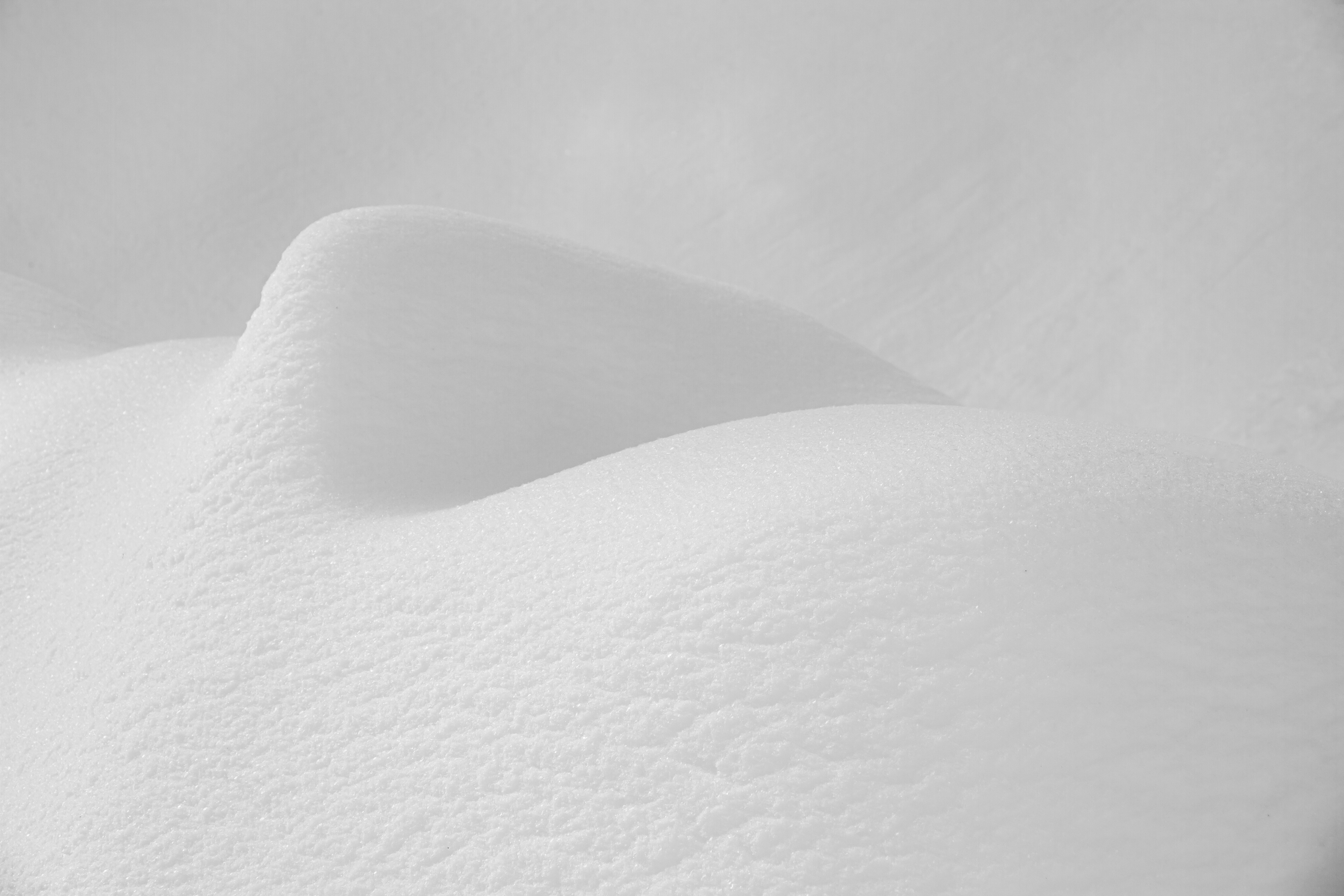 Photo by farazahanin