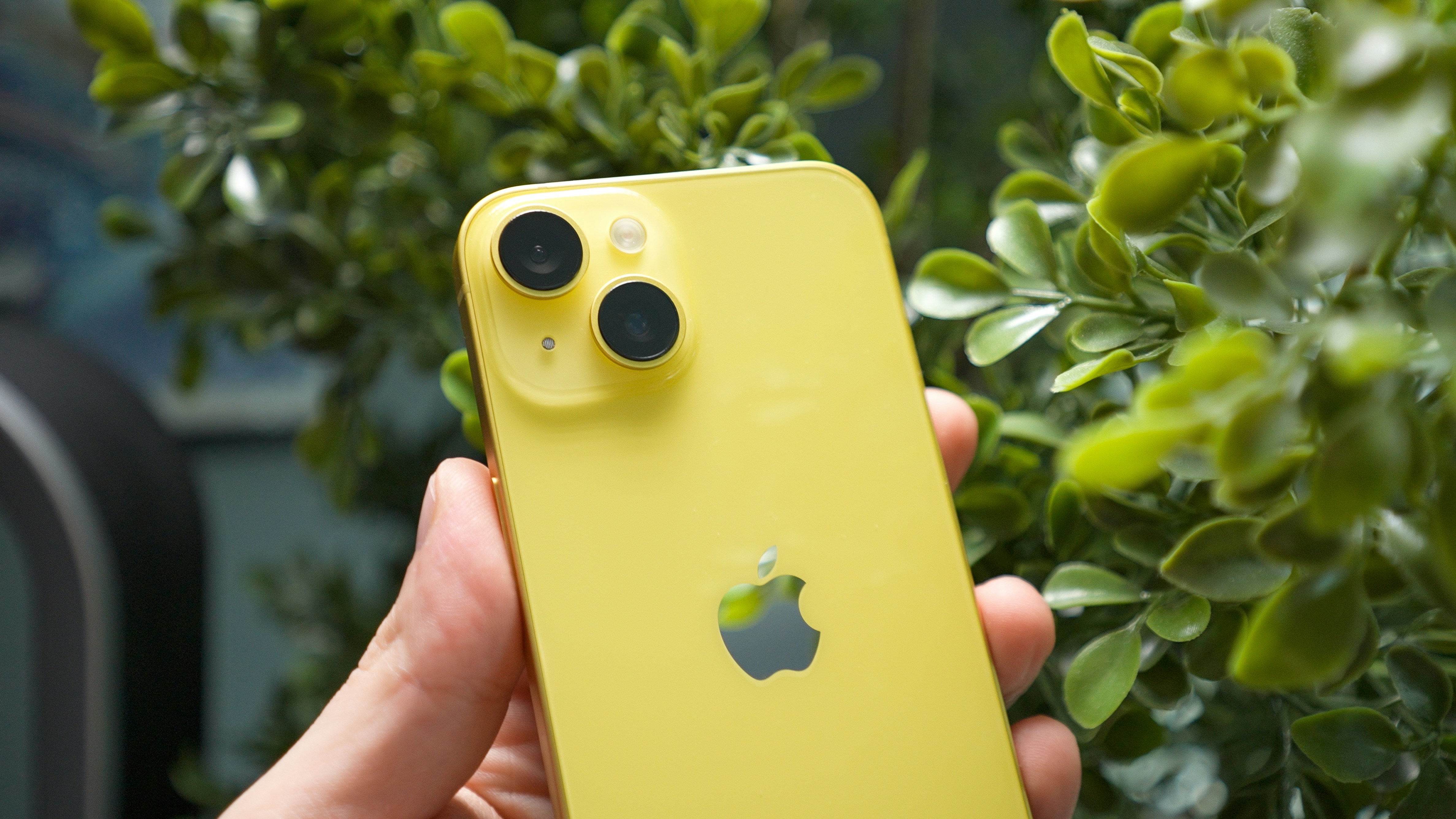 iPhone amarelo segurado contra folhas verdes