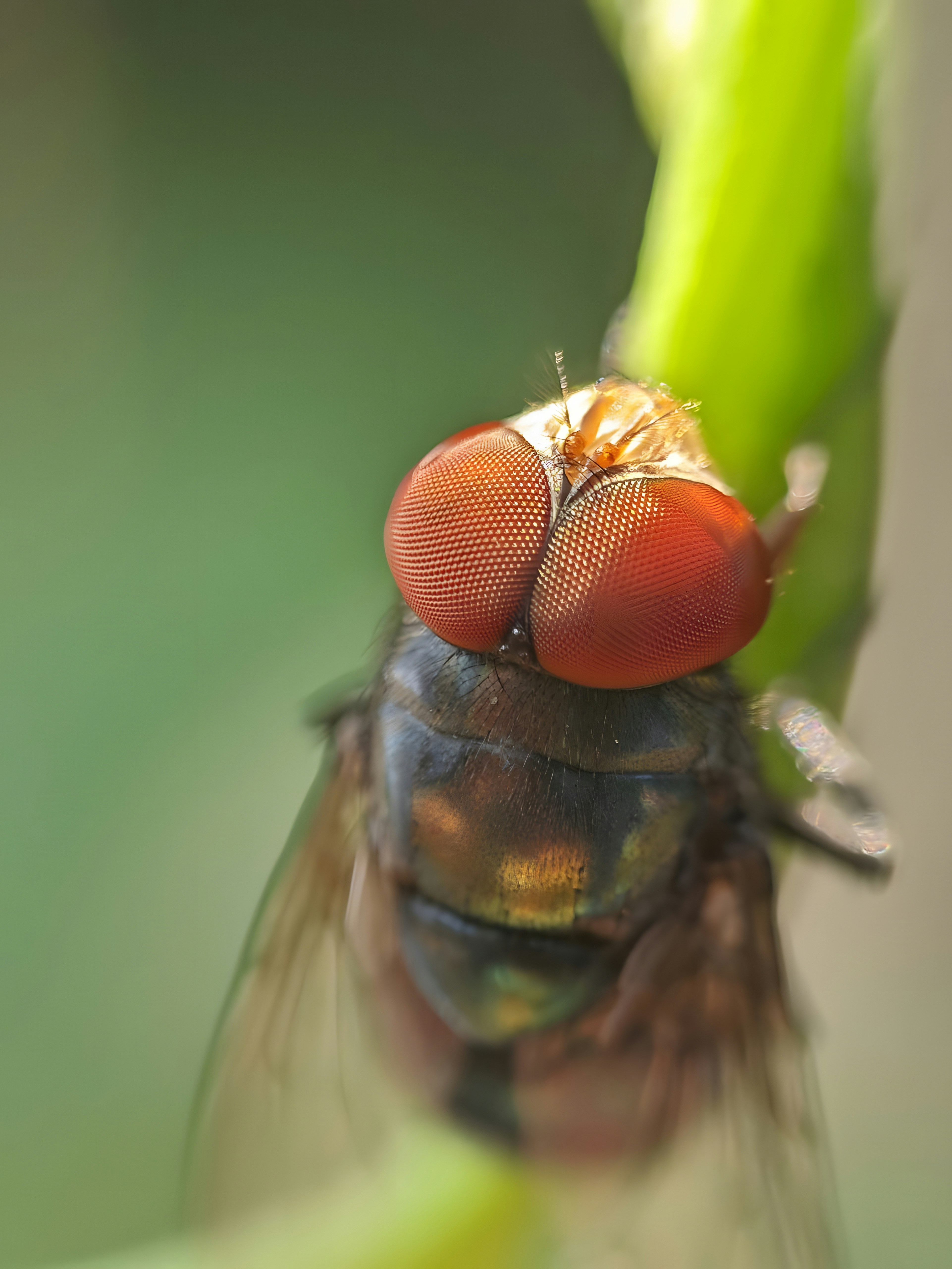Photo by gopinath12