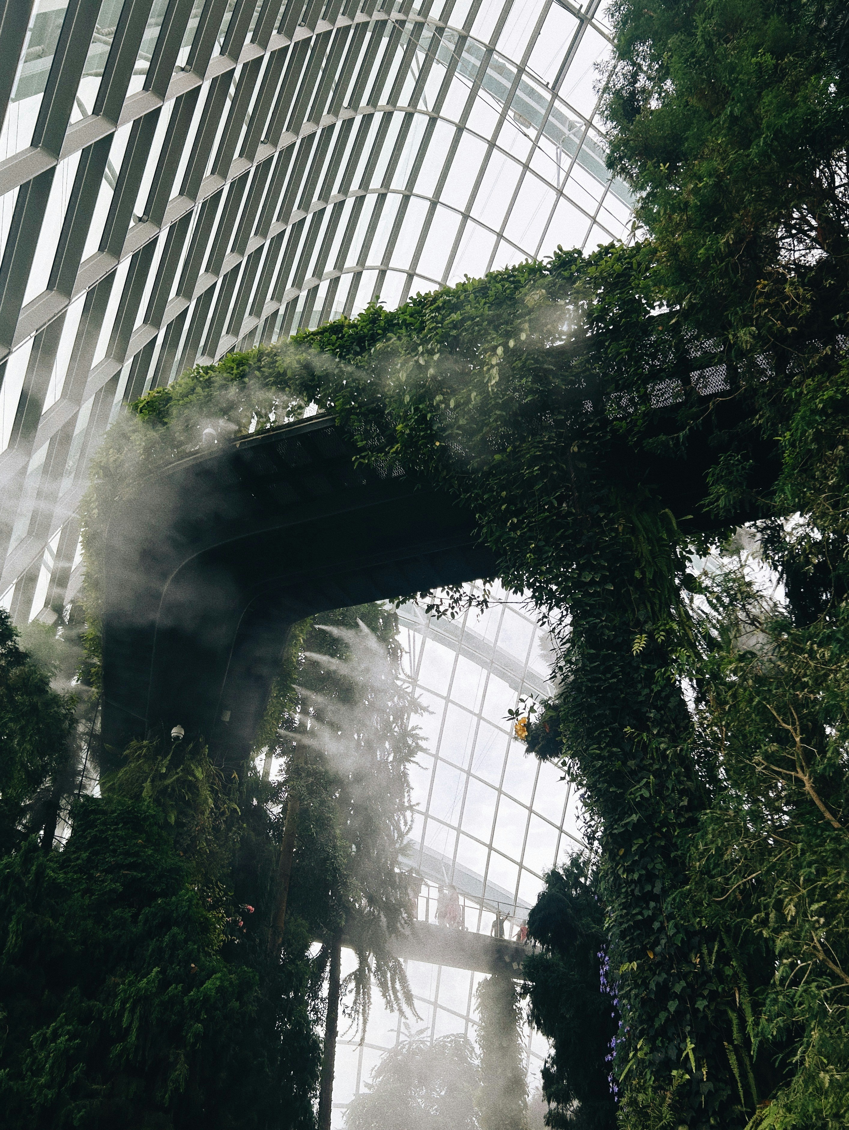 Lush greenery cascades over a walkway with mist.