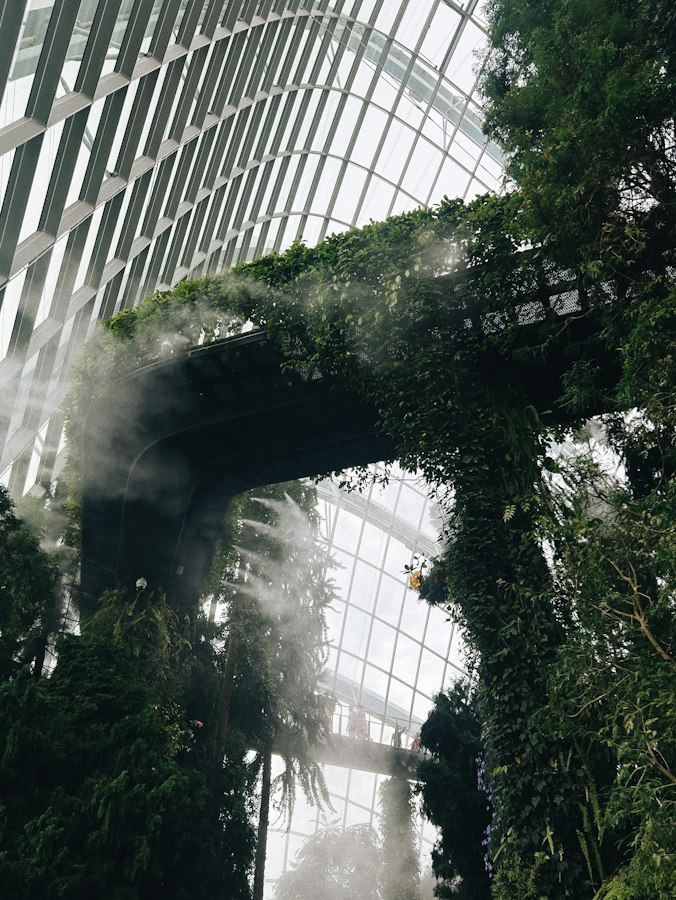The Green Planet Dubai Ticket