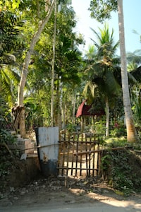 Bamboo gate opening into a lush tropical garden in Bali
