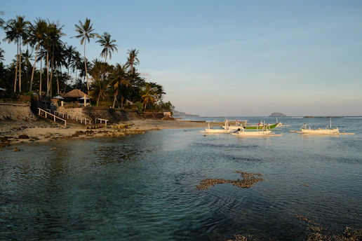 Tropical beach with palm trees and boats on the water