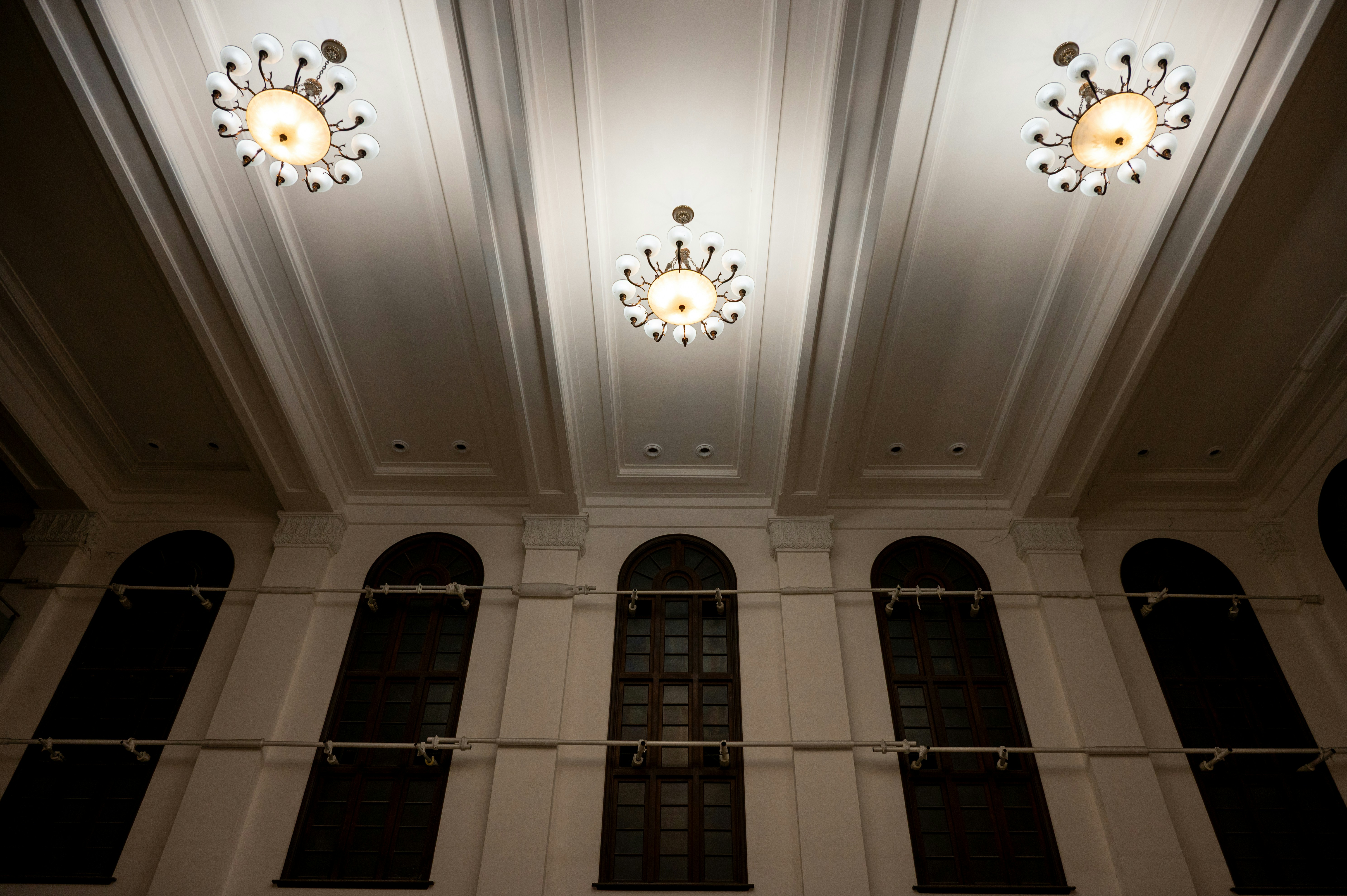 Photo by turquocabbit