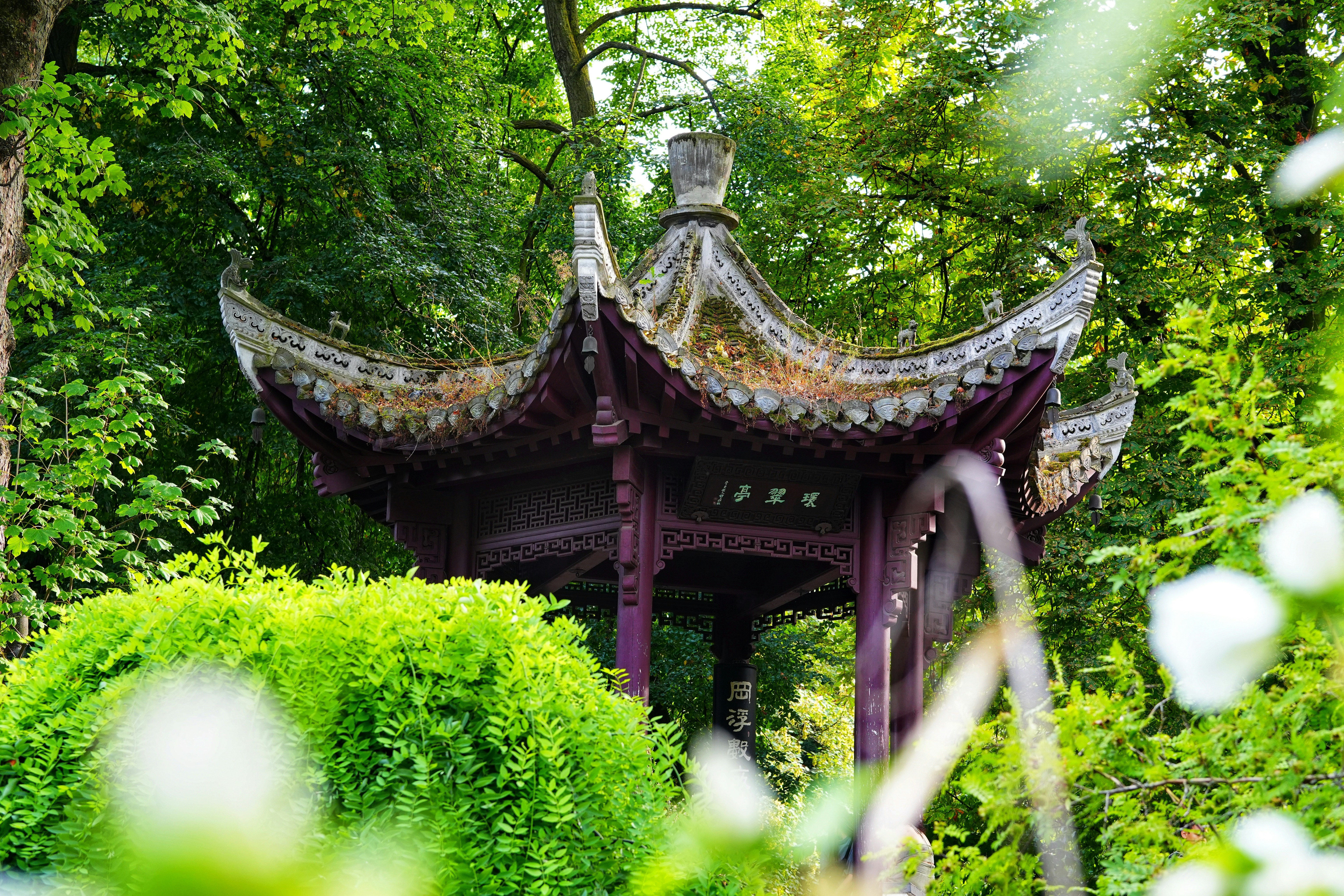 Photo by danielstolz