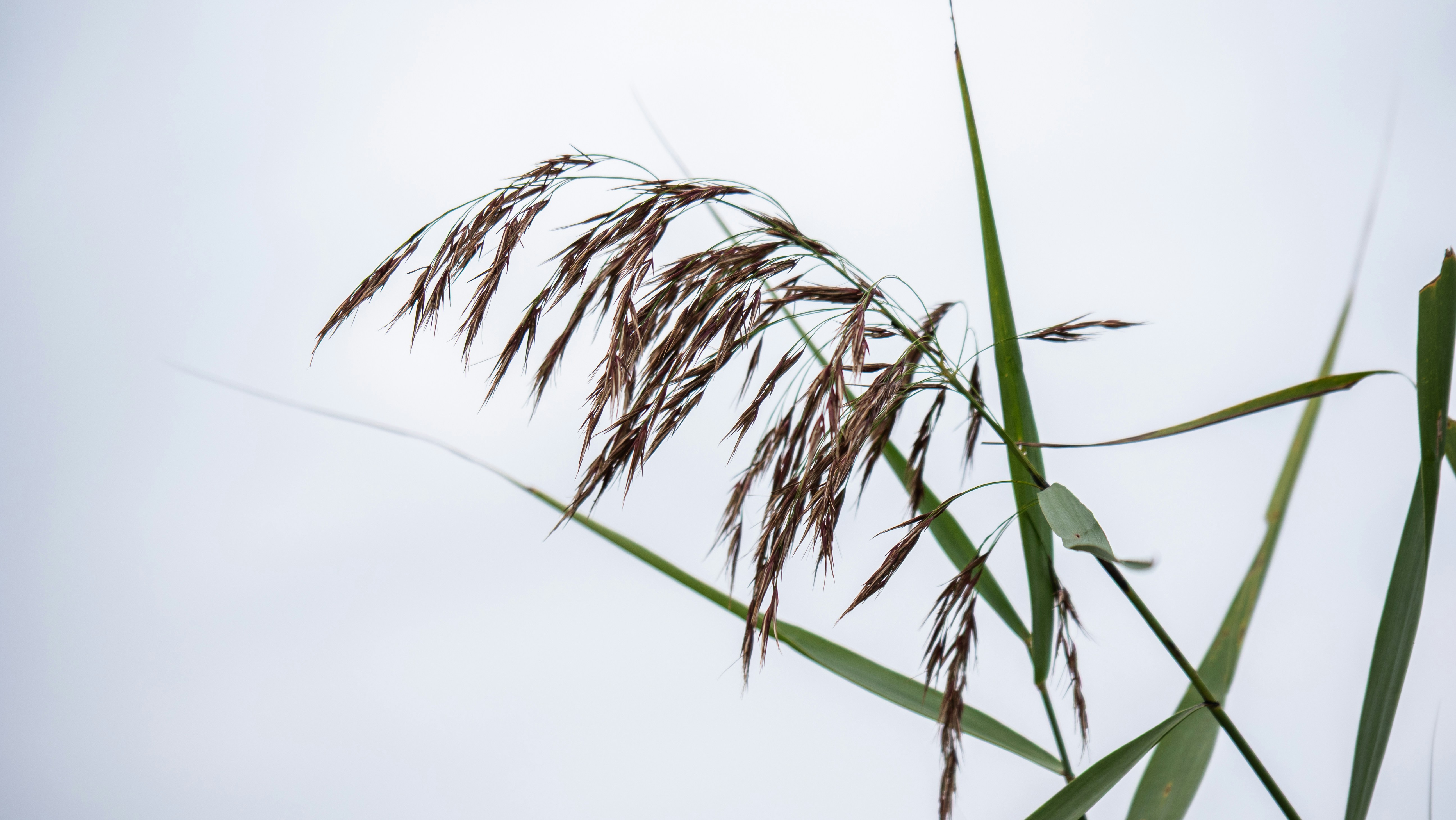 Photo by rema_green1917