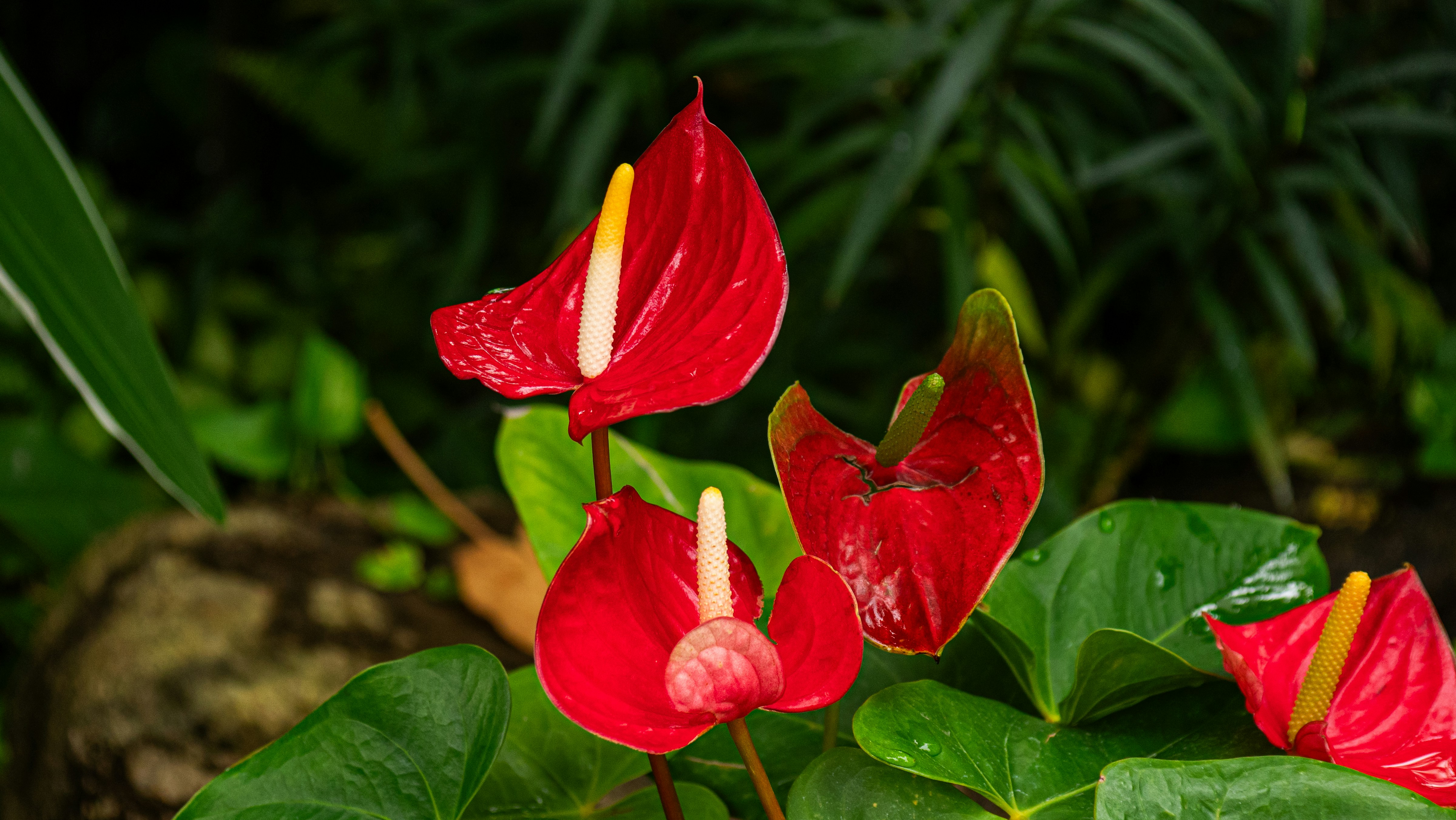 Photo by rema_green1917