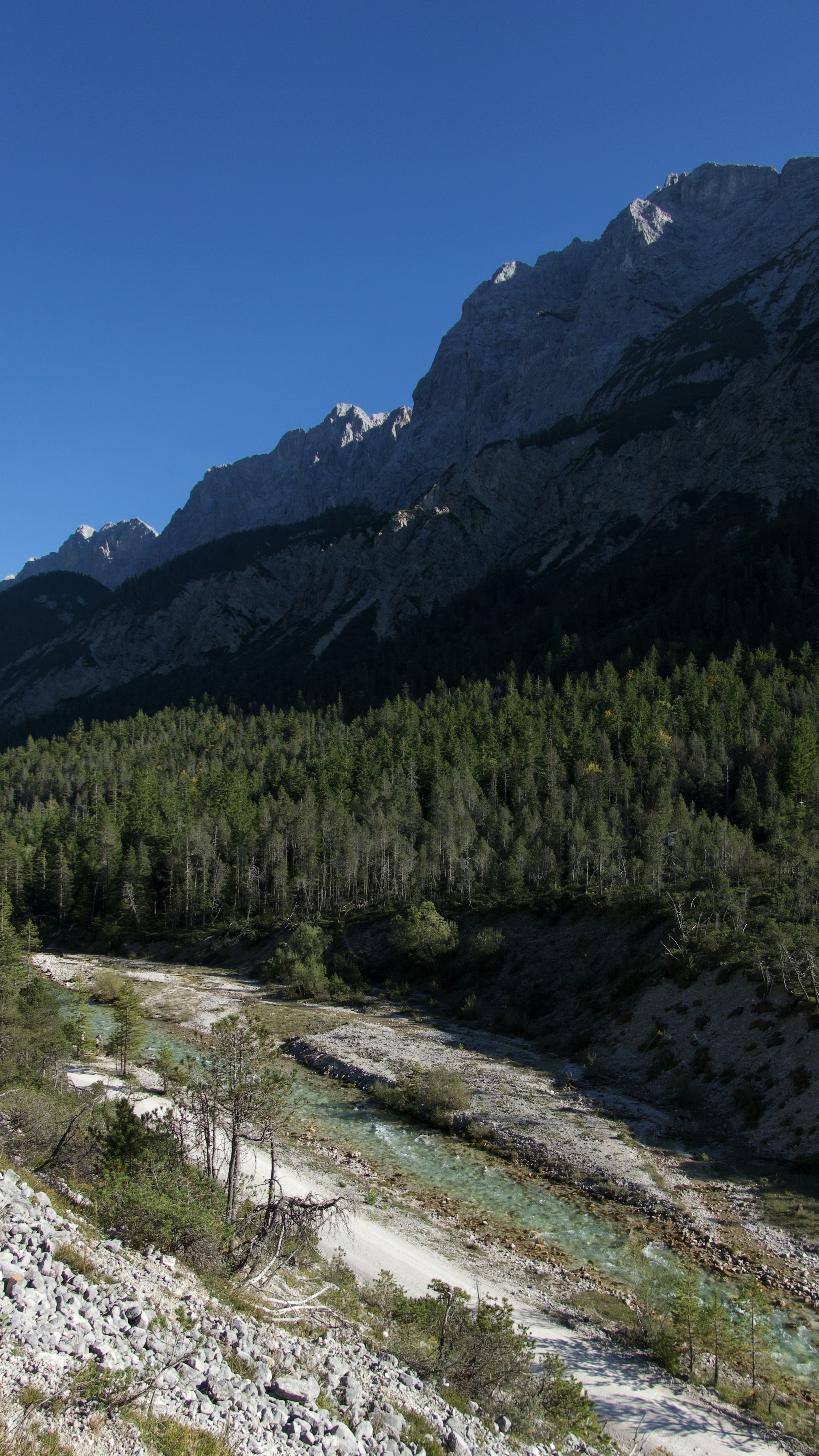 Mountain range with forest and turquoise river