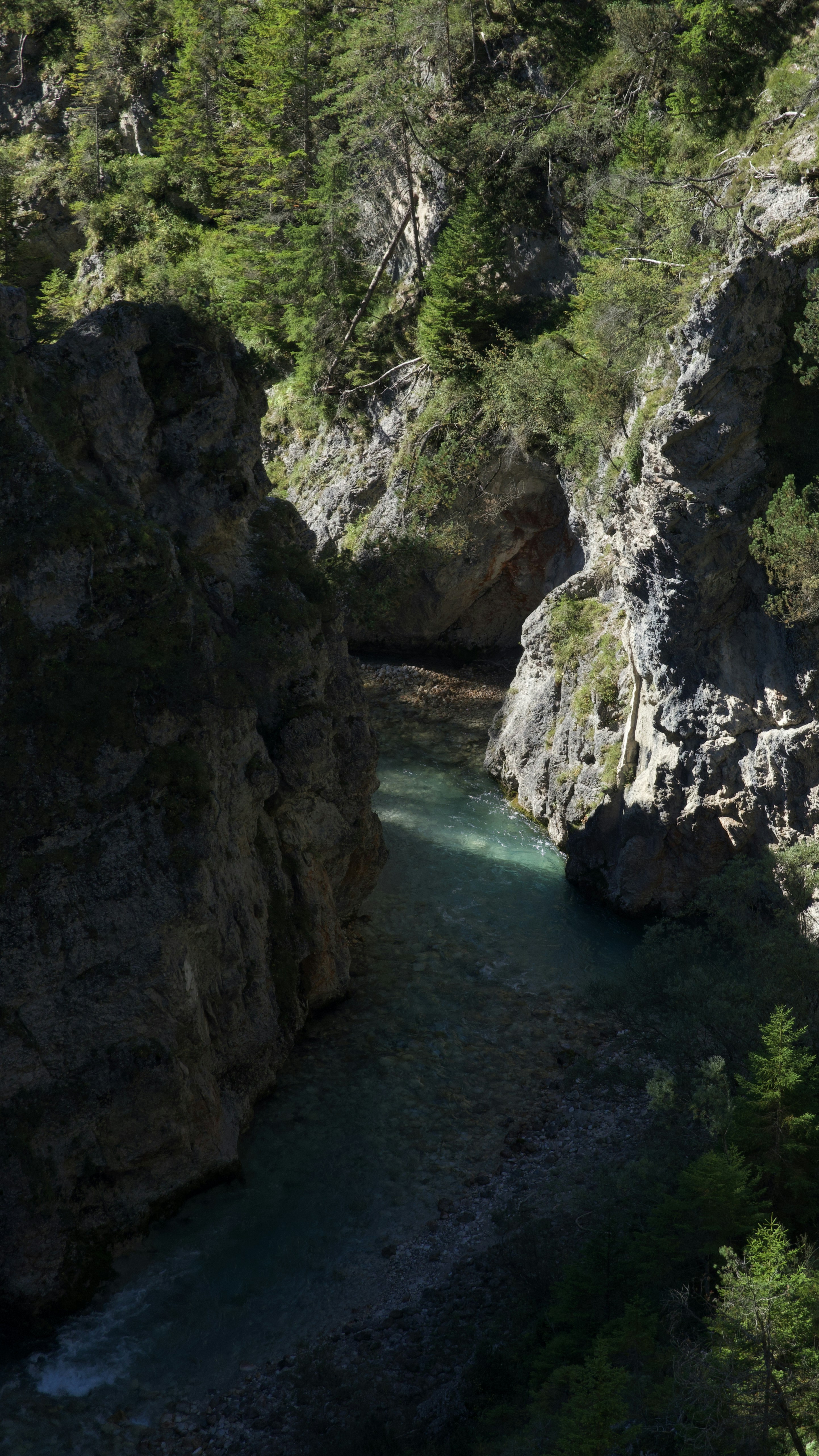 A clear river flows through a rocky canyon with trees.