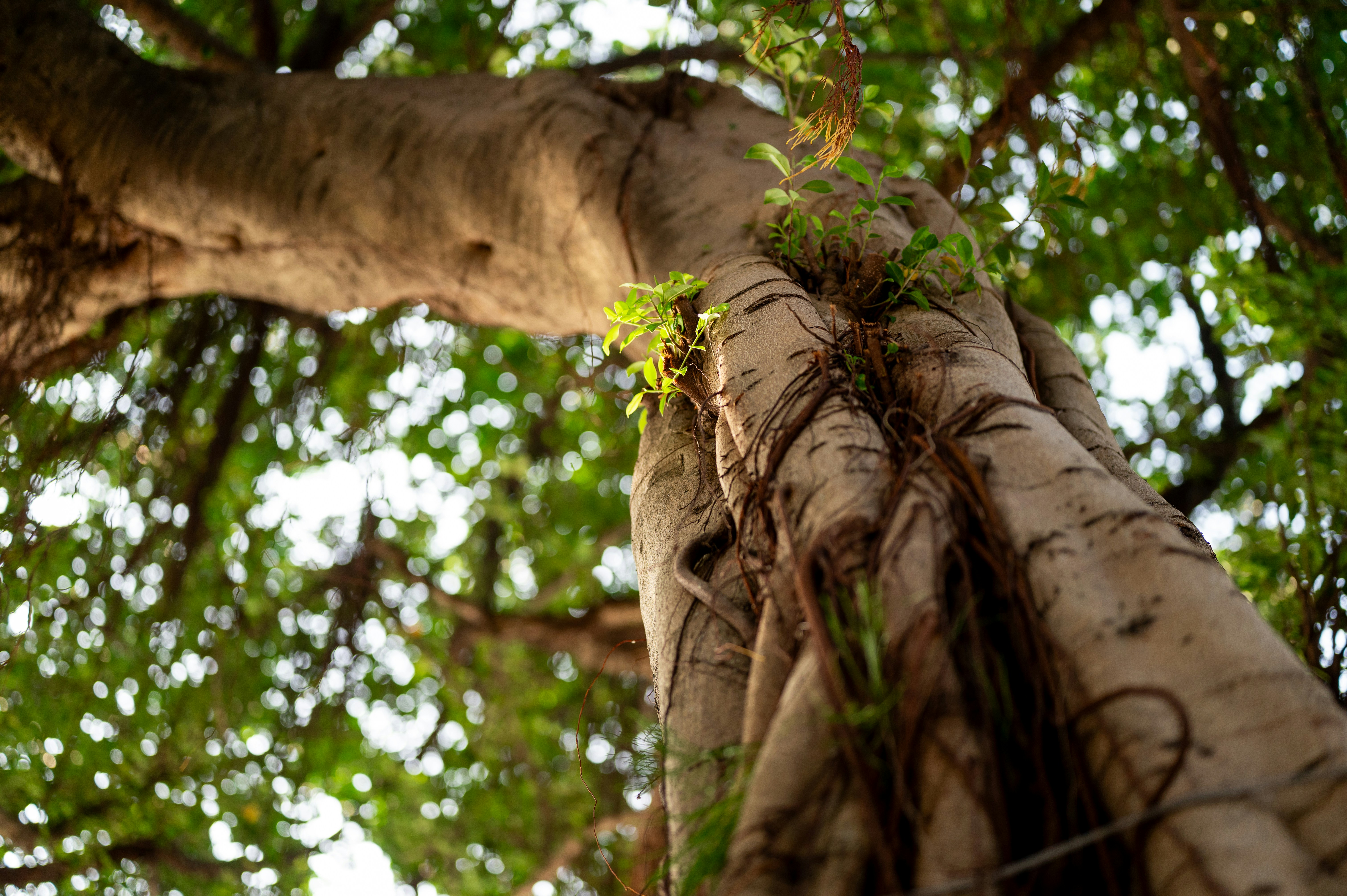 Photo by turquocabbit