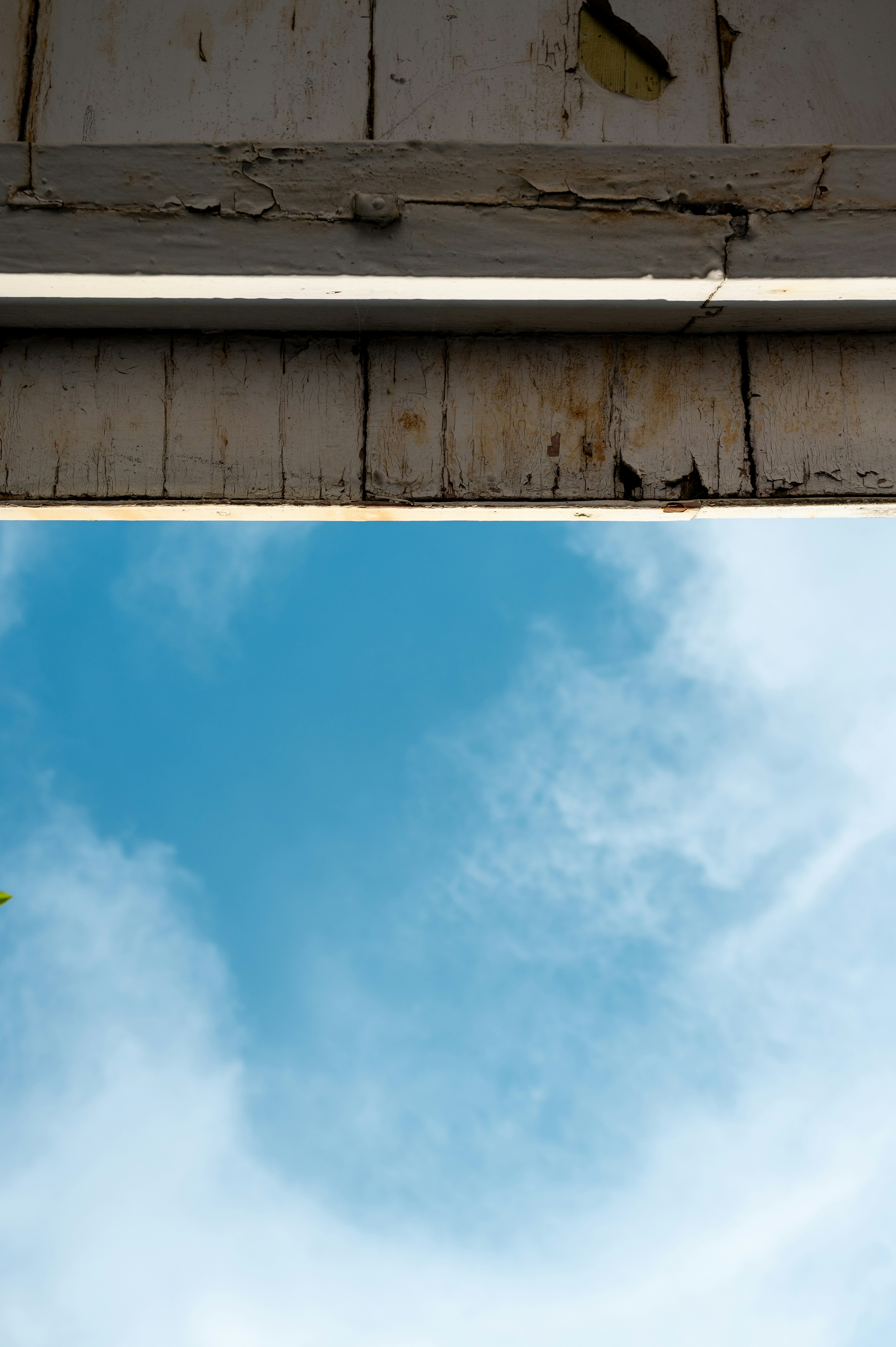 Photo by turquocabbit