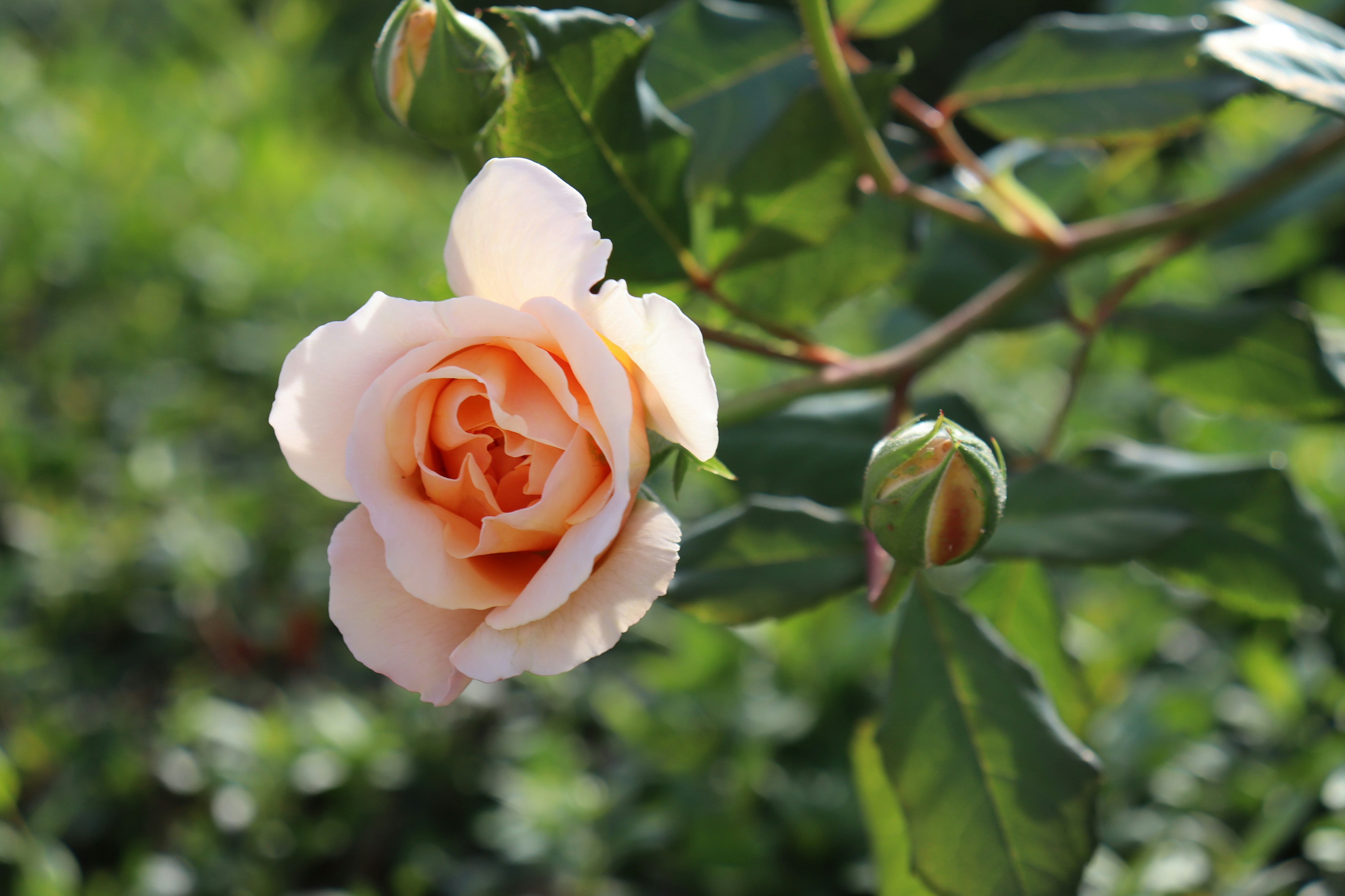 Photo by ninaricarda