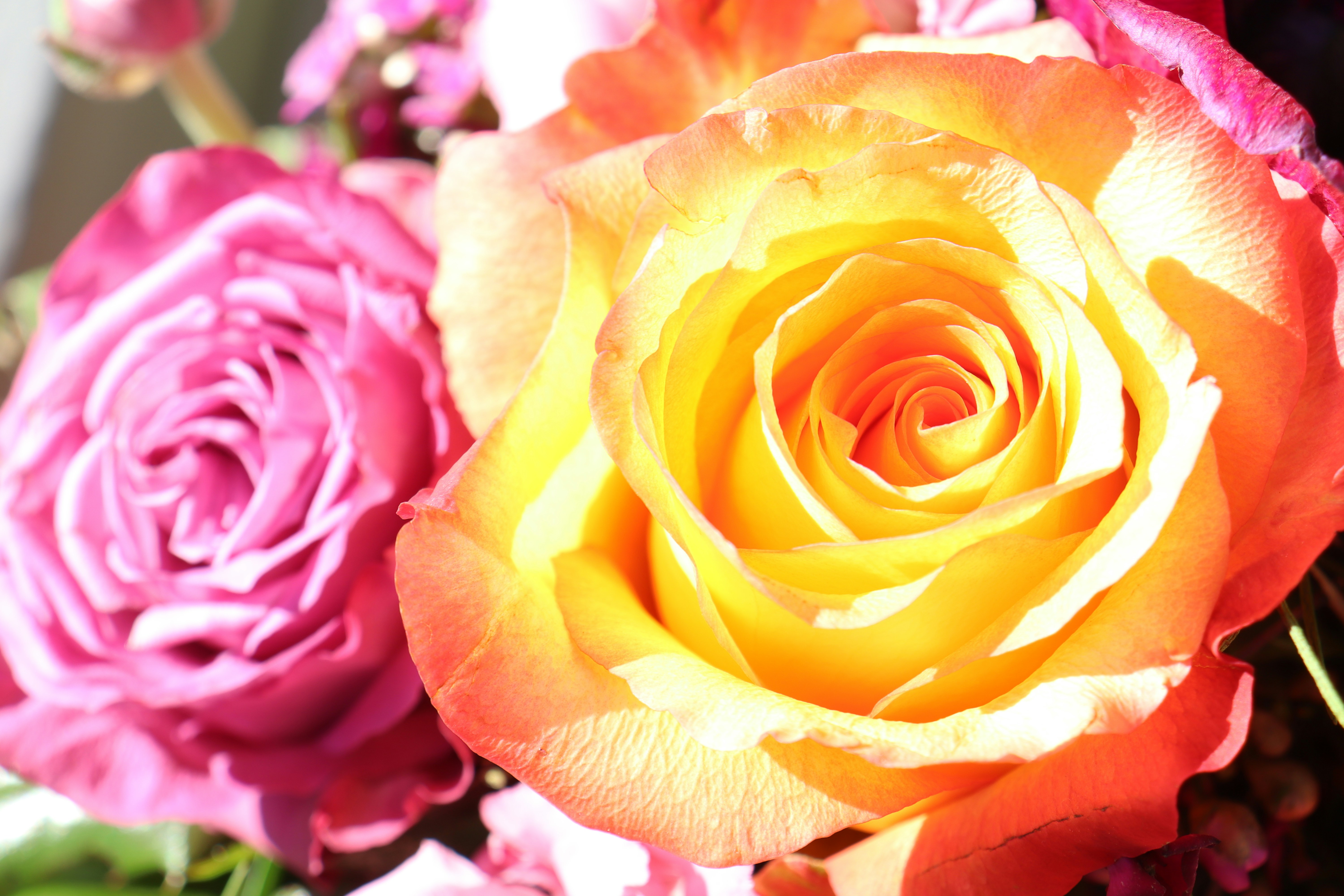 Photo by ninaricarda