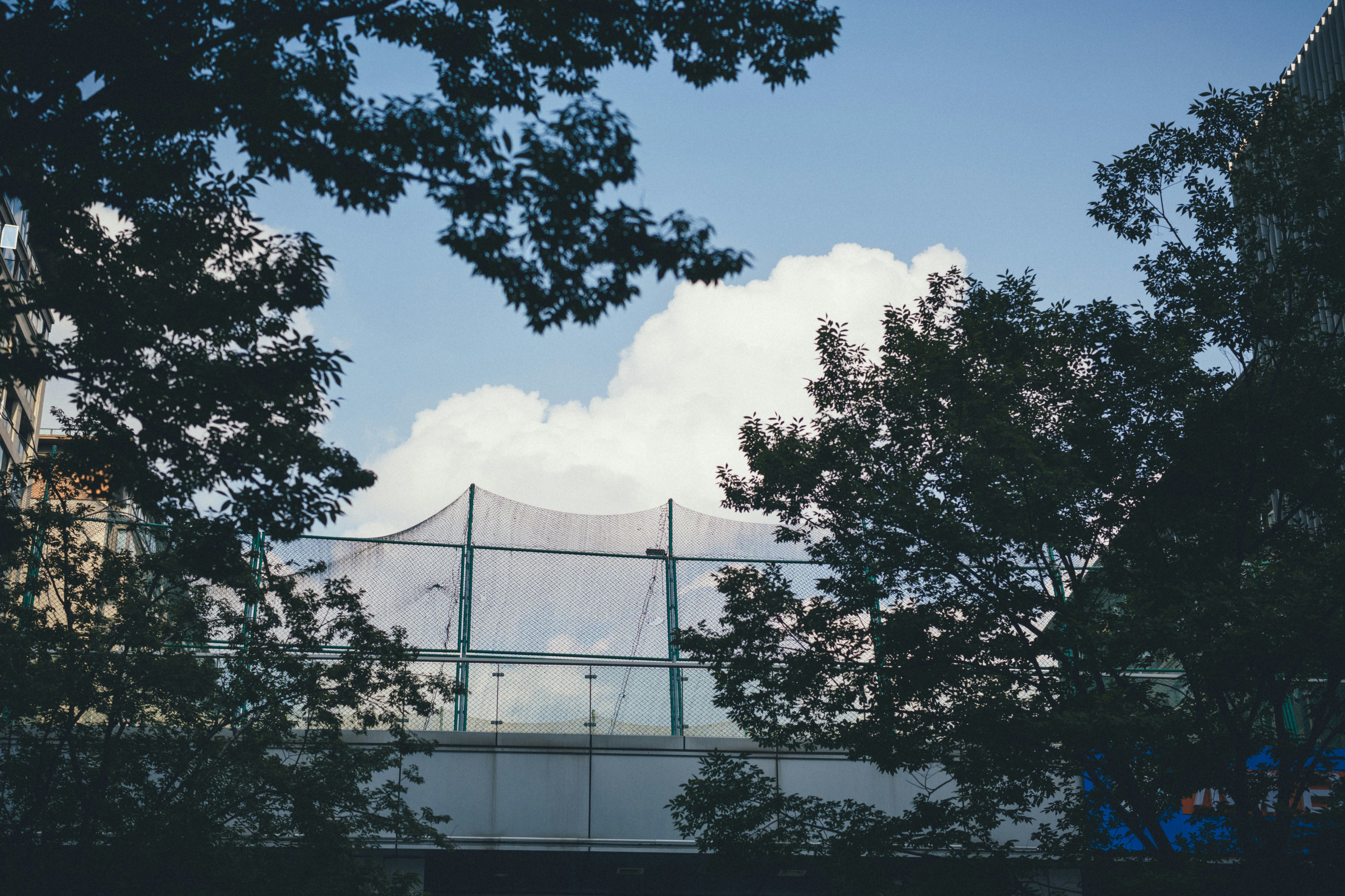 Trees frame a cloudy sky above a modern building.