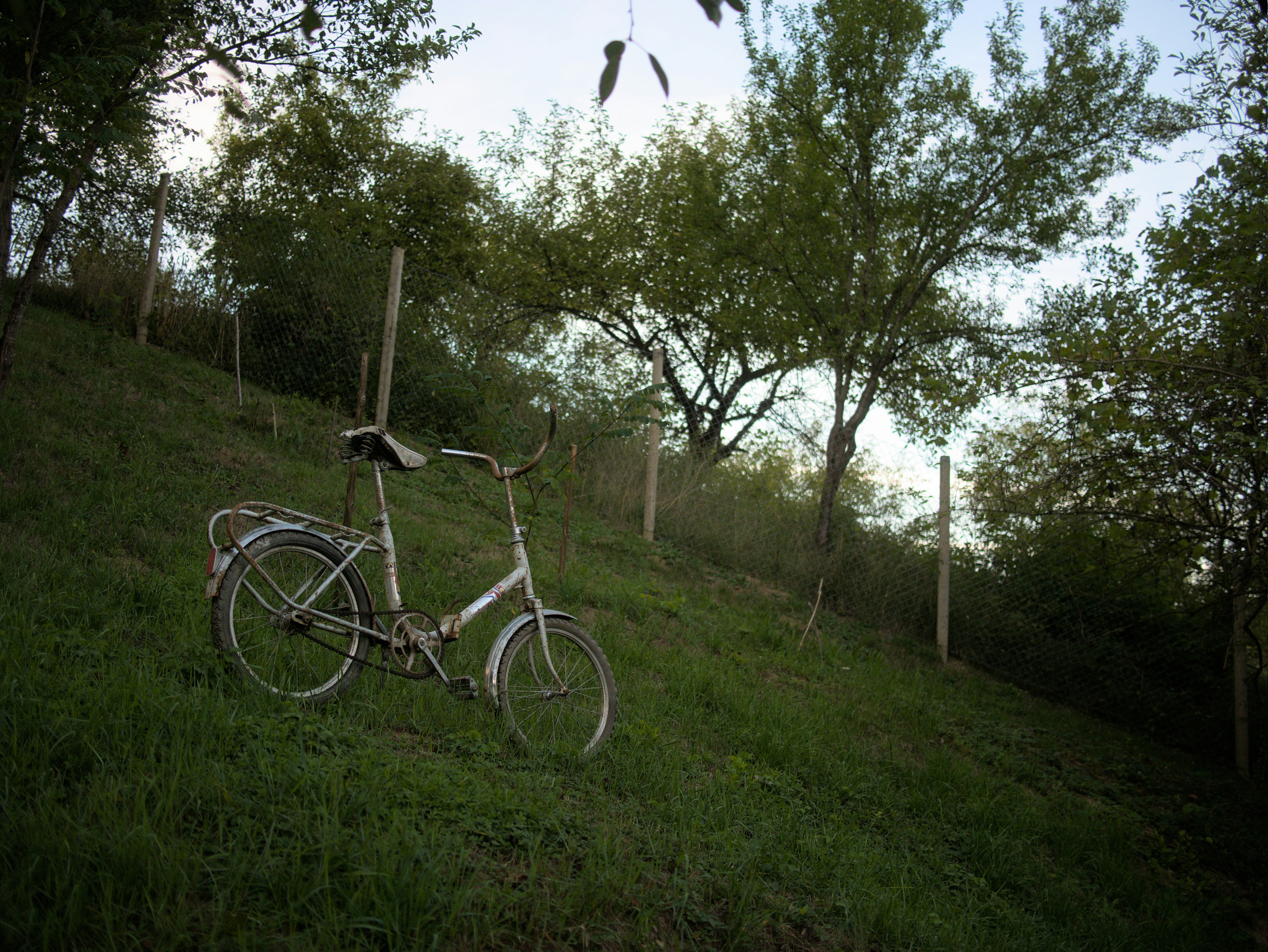 Bicycle resting on a grassy hillside with trees.