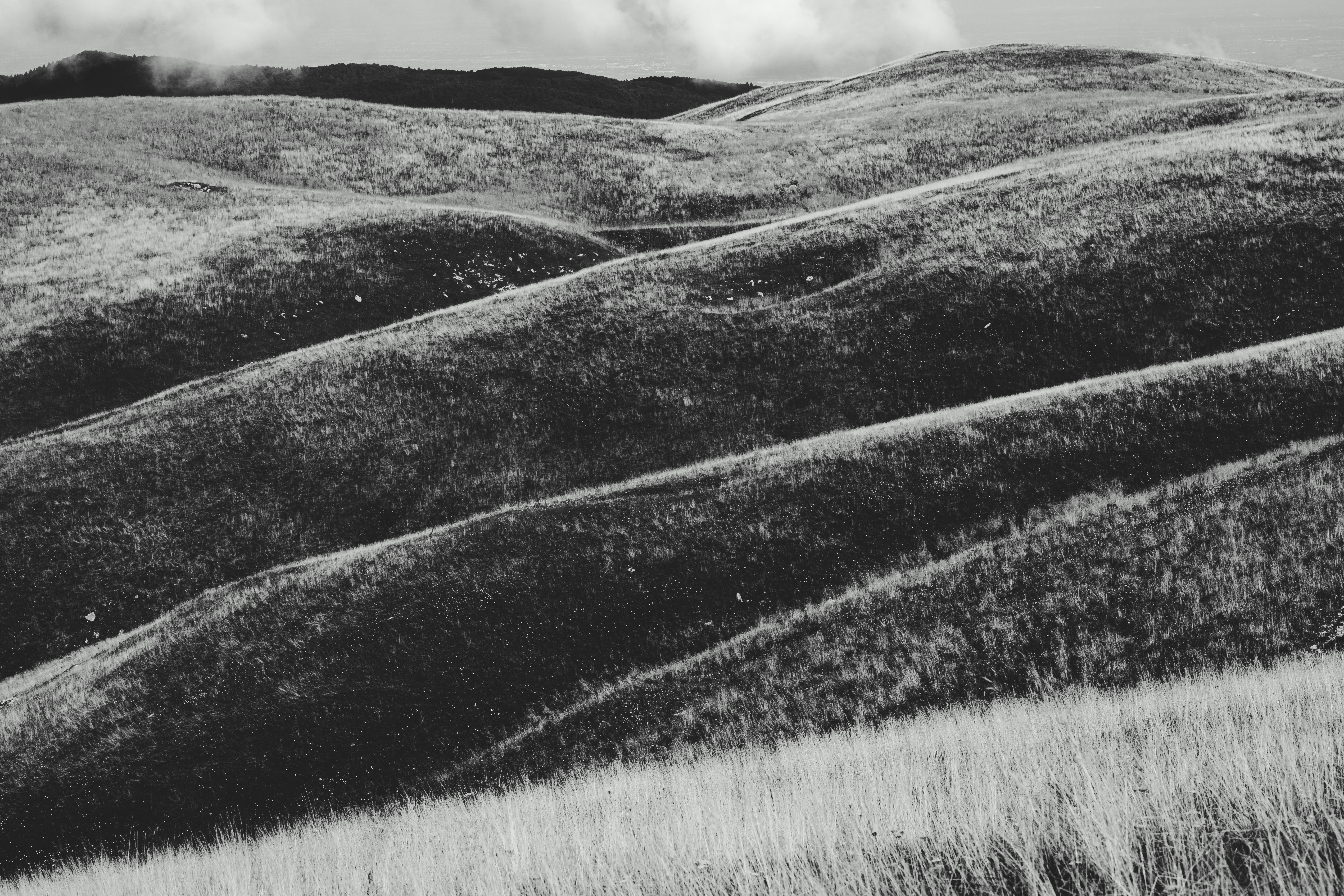 Rolling hills covered in grass under a cloudy sky