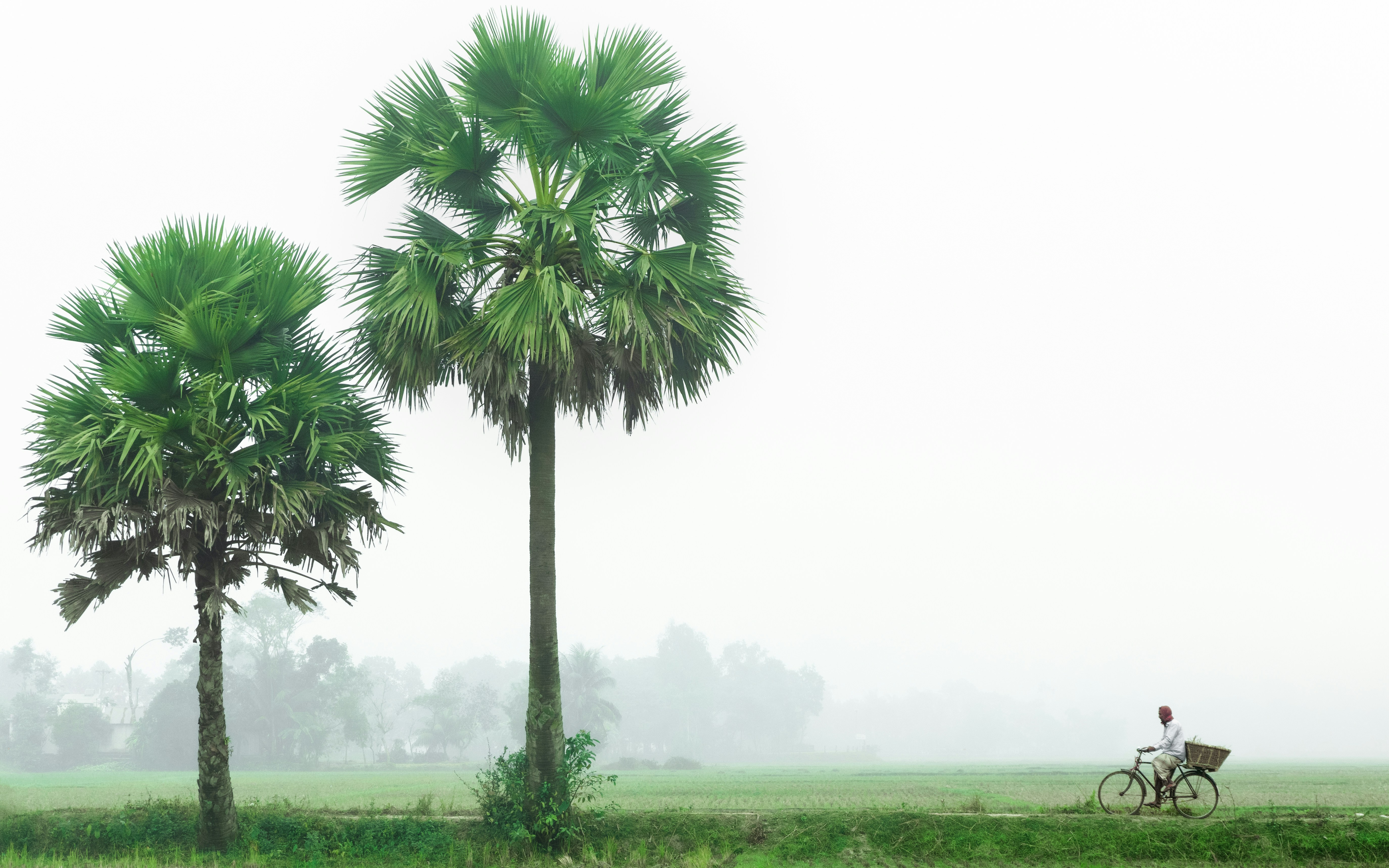 Photo by muhammadphoto1