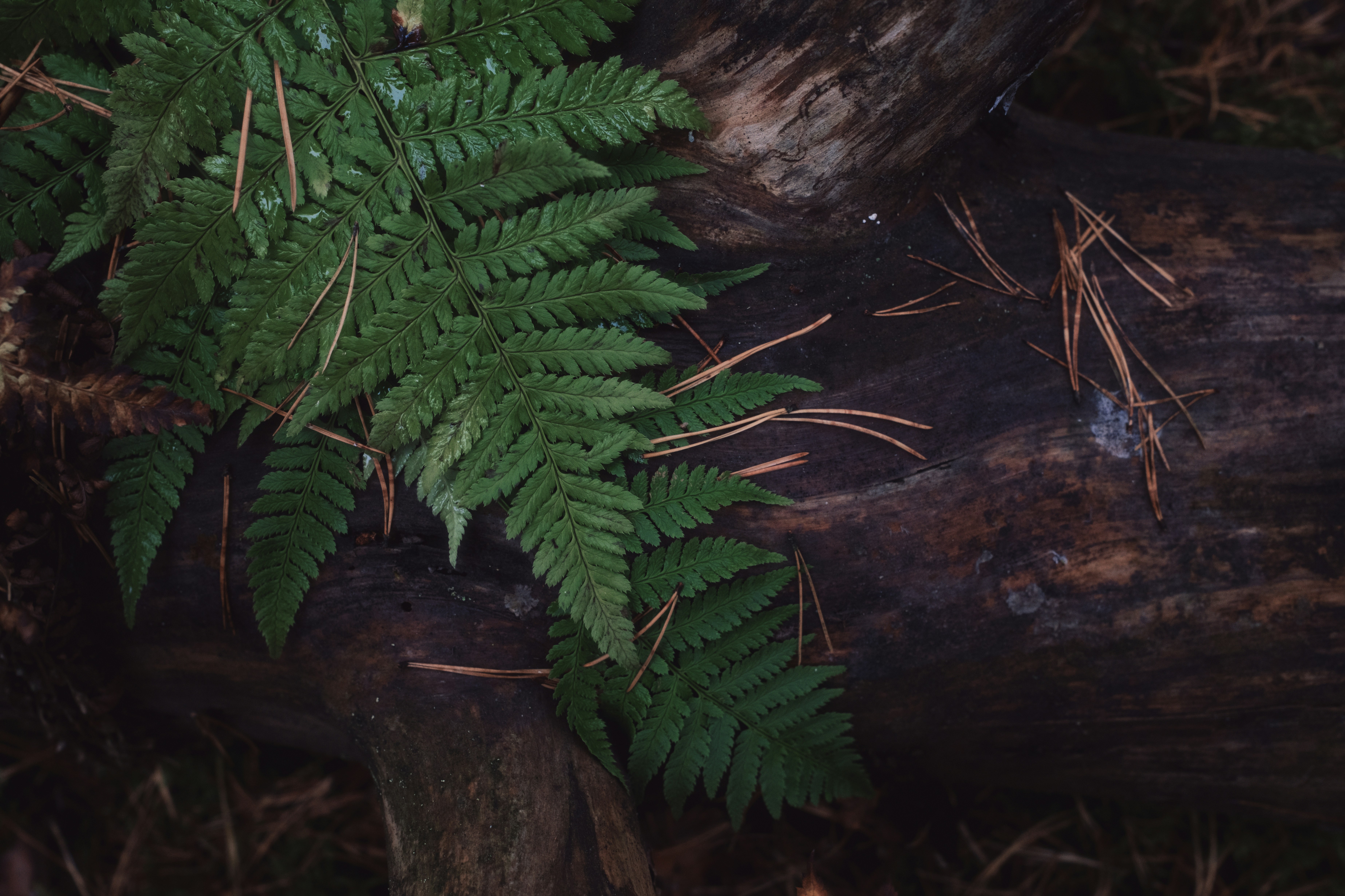 Photo by evil_bumblebee