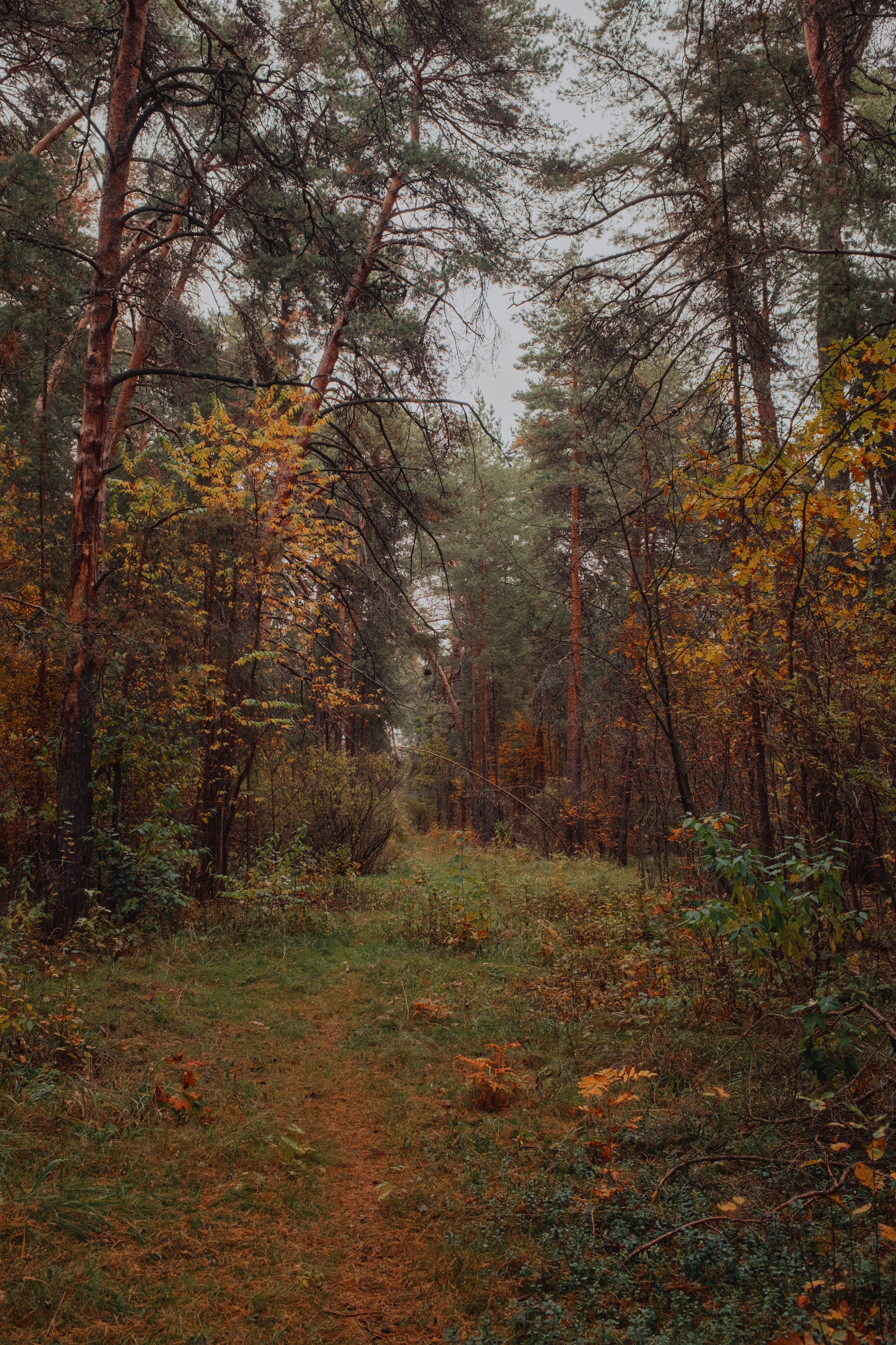 Photo by evil_bumblebee