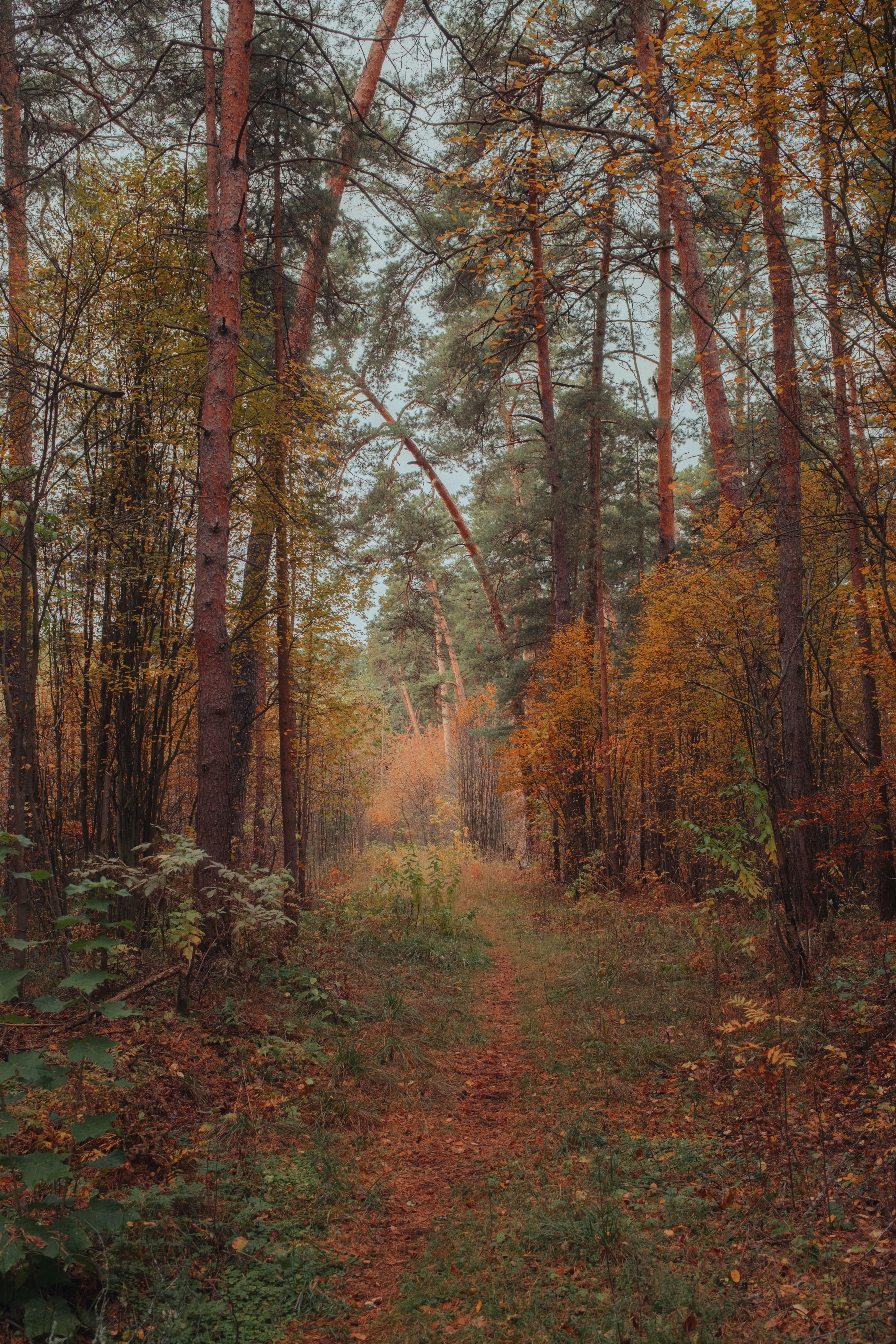 Photo by evil_bumblebee