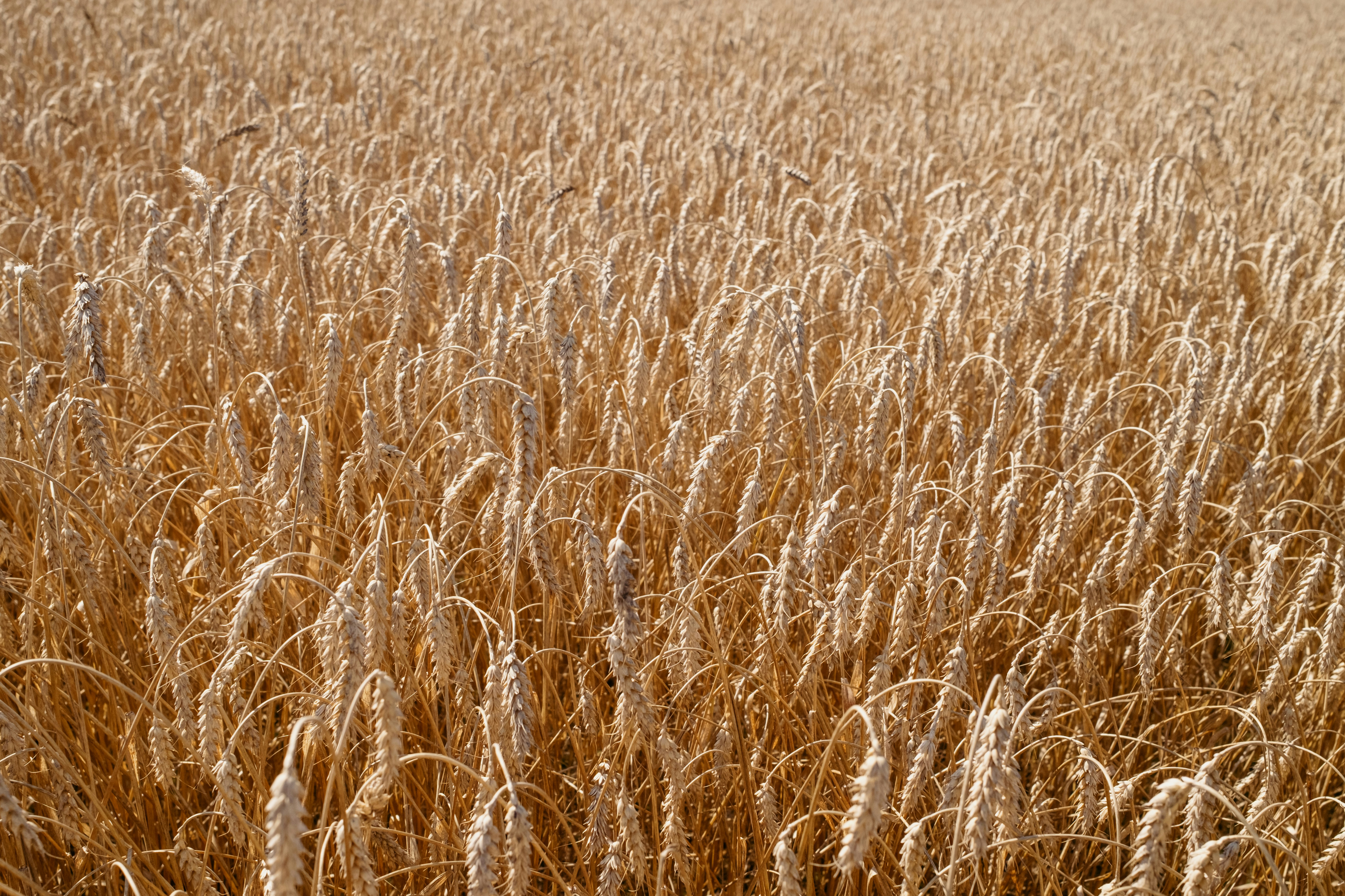 Photo by evil_bumblebee