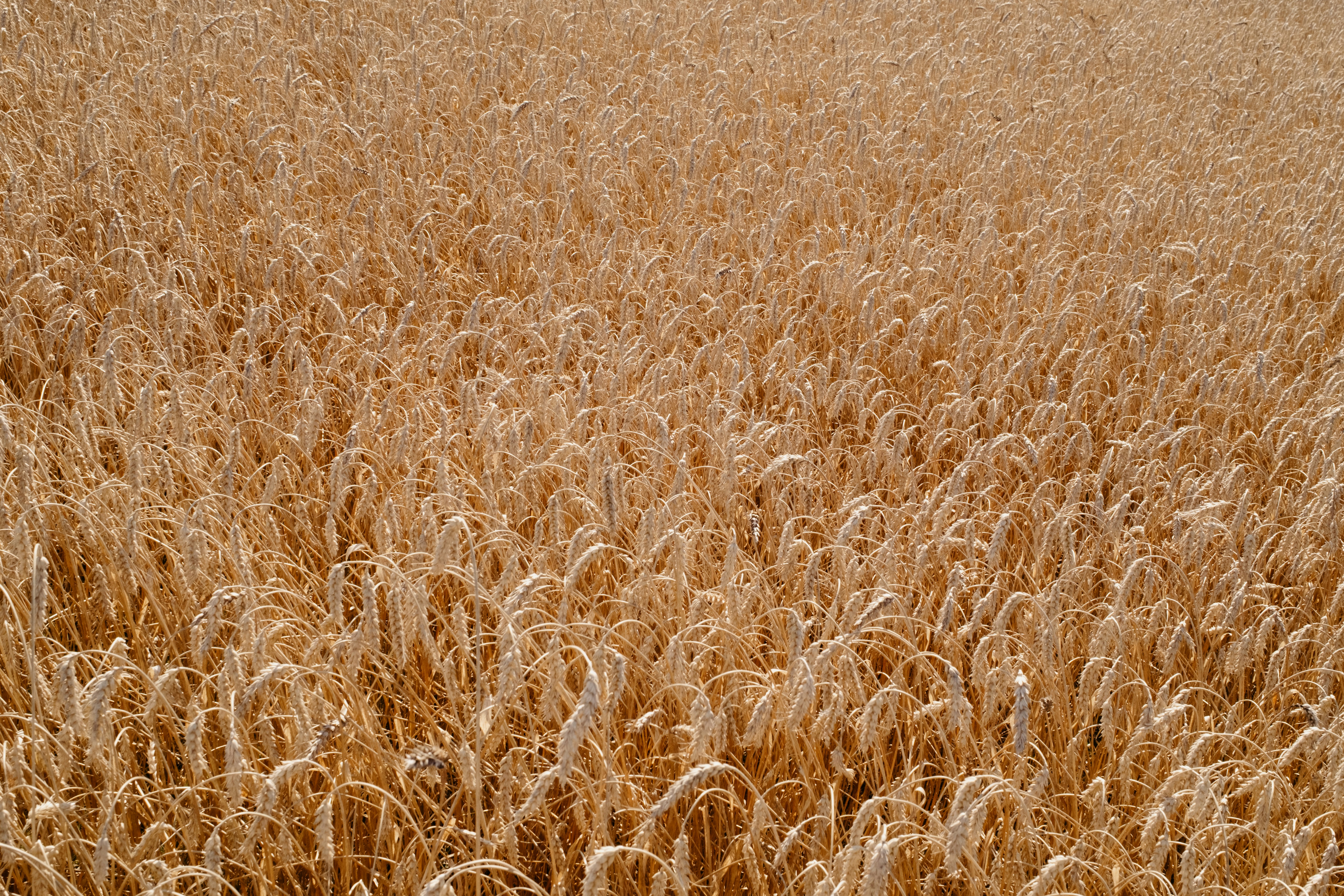 Photo by evil_bumblebee