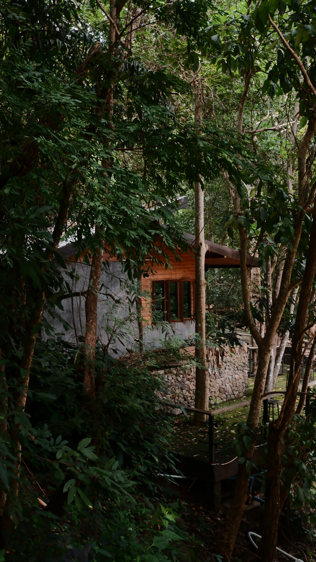 Boquete Cloud Forest Lodge photo 2