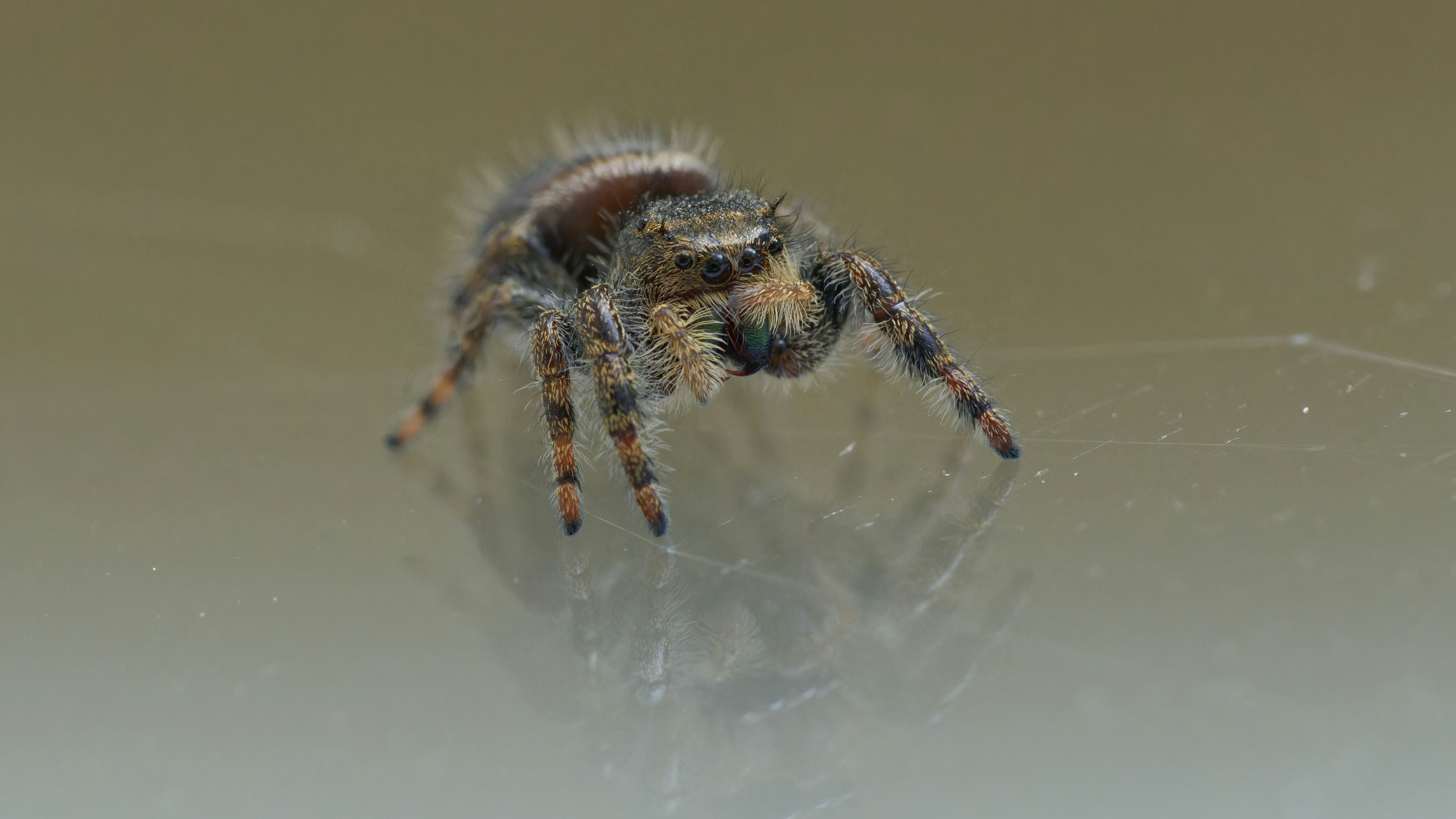 Photo by patrickbigelow_zoom_in