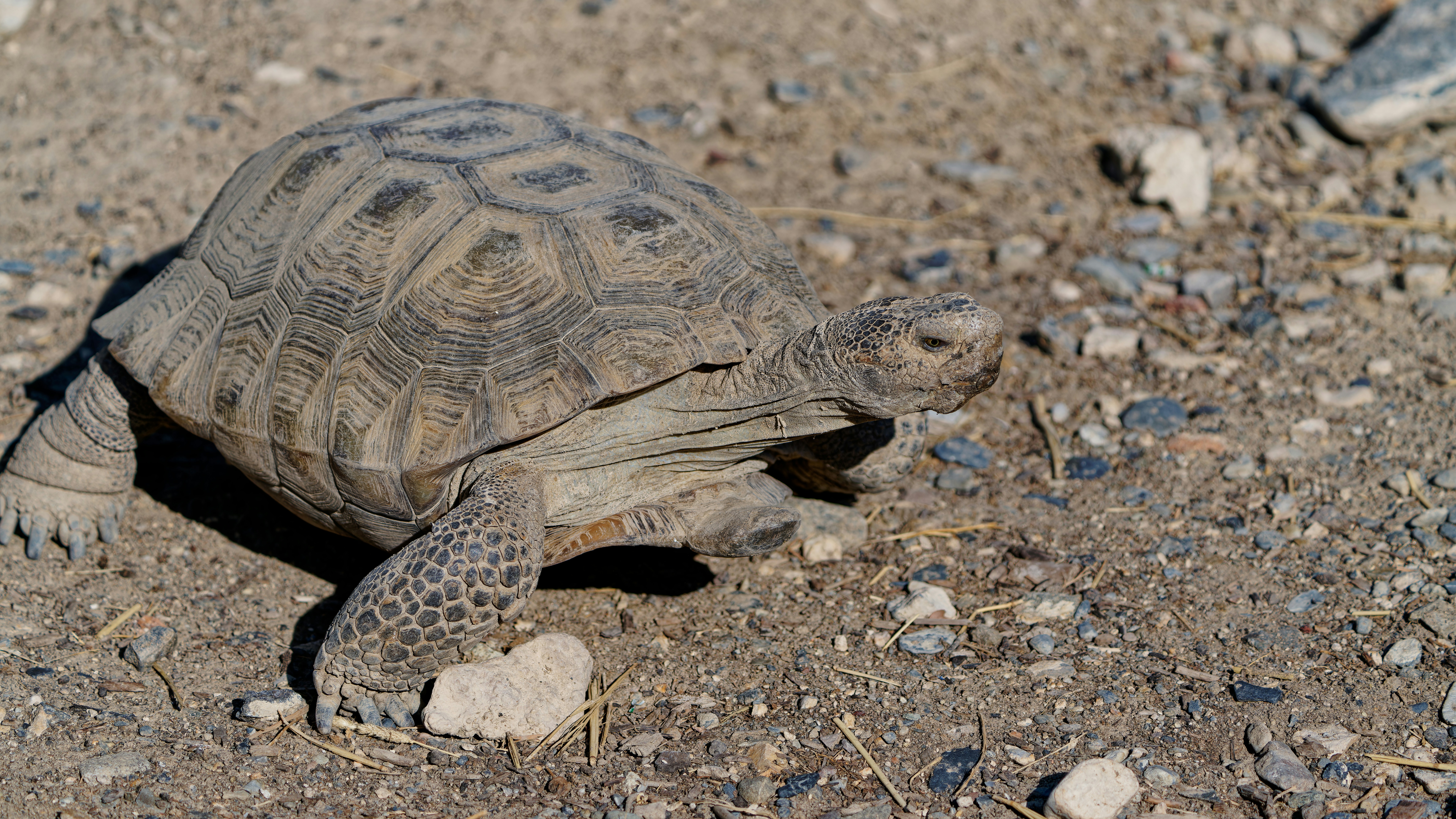 Photo by patrickbigelow_zoom_in