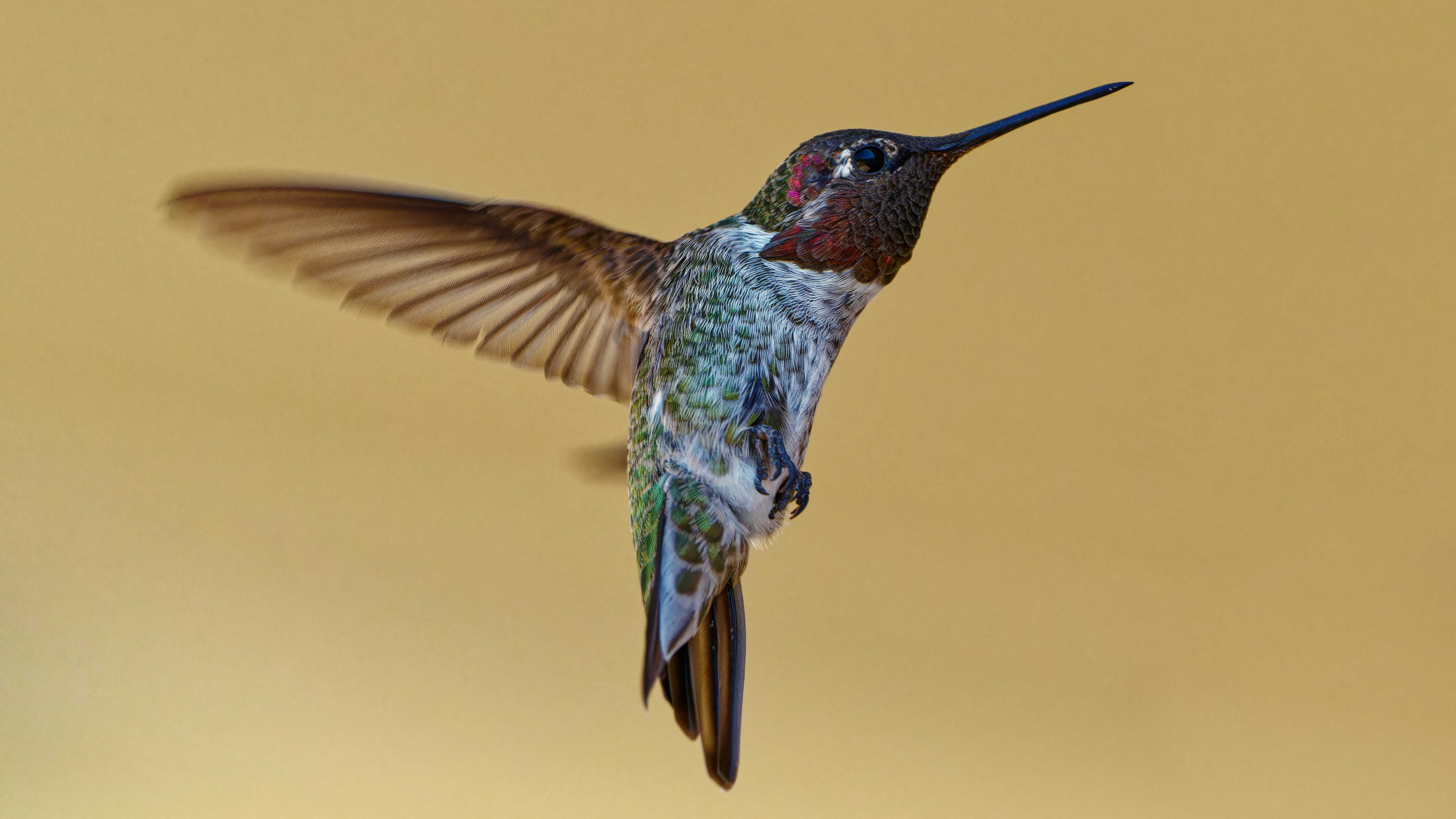 Agentic AI Revolutionizing Cybersecurity & Application Security