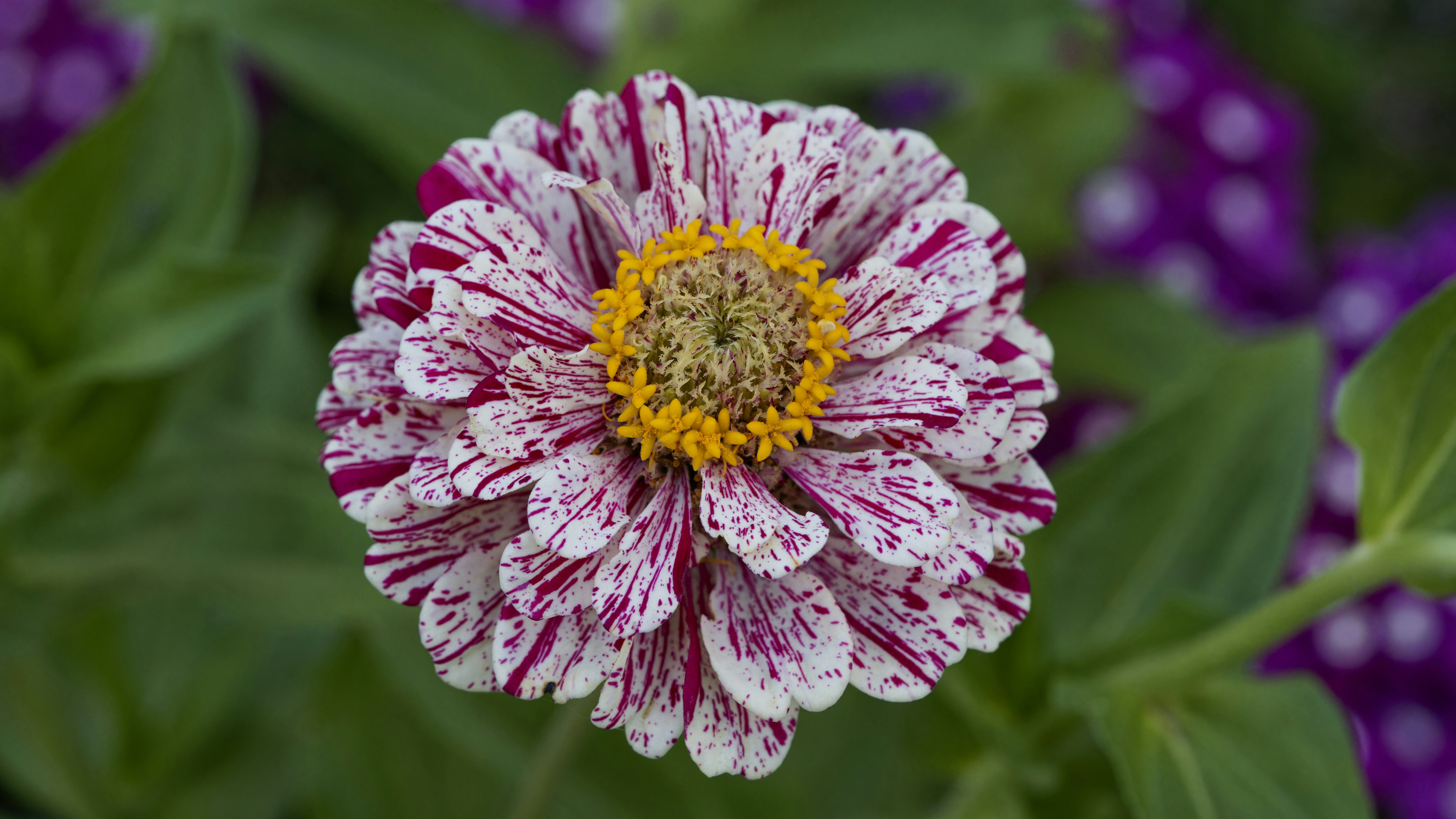 Photo by patrickbigelow_zoom_in